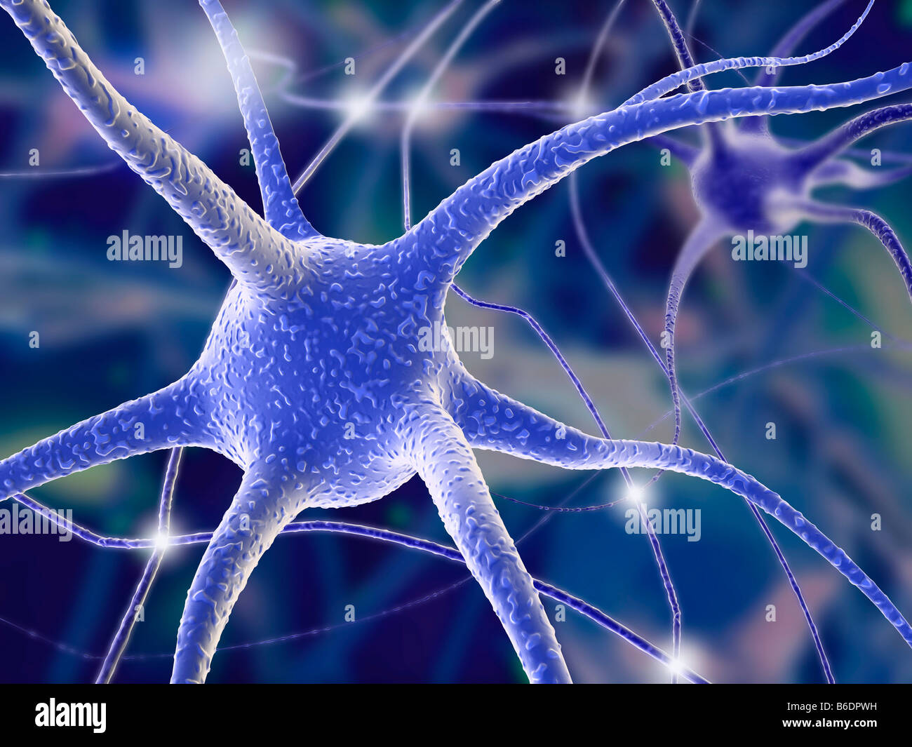 Nerve cells. Computer artwork of nerve cells, orneurons Stock Photo - Alamy
