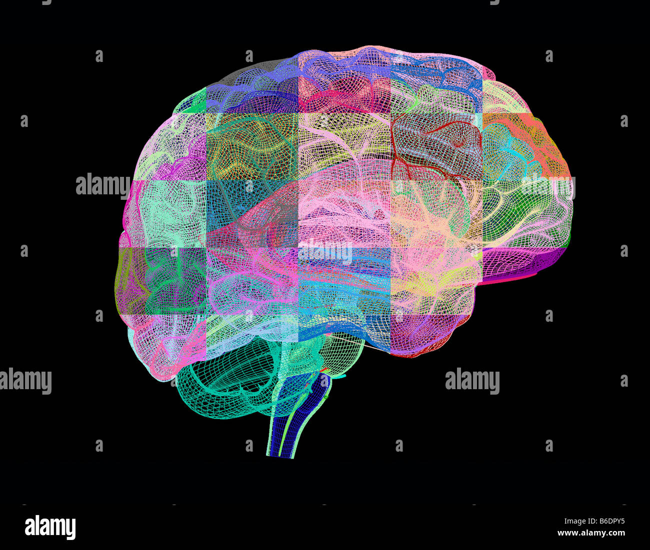 Human brain, computer artwork. The front of the brain is at right Stock ...