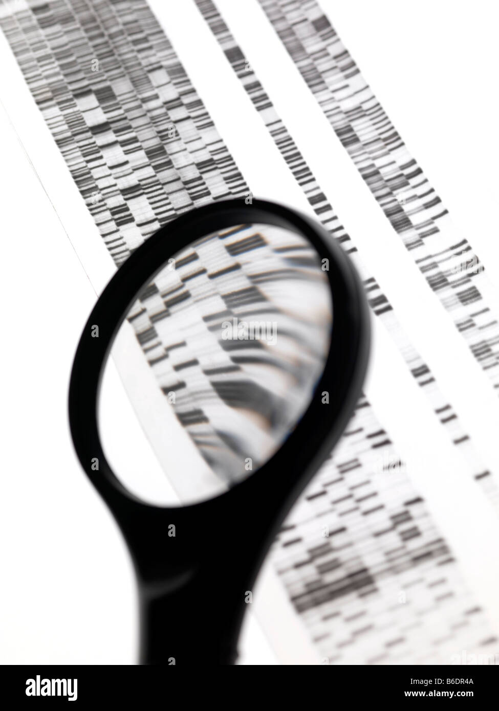 DNA autoradiogram and magnifying glass Stock Photo Alamy