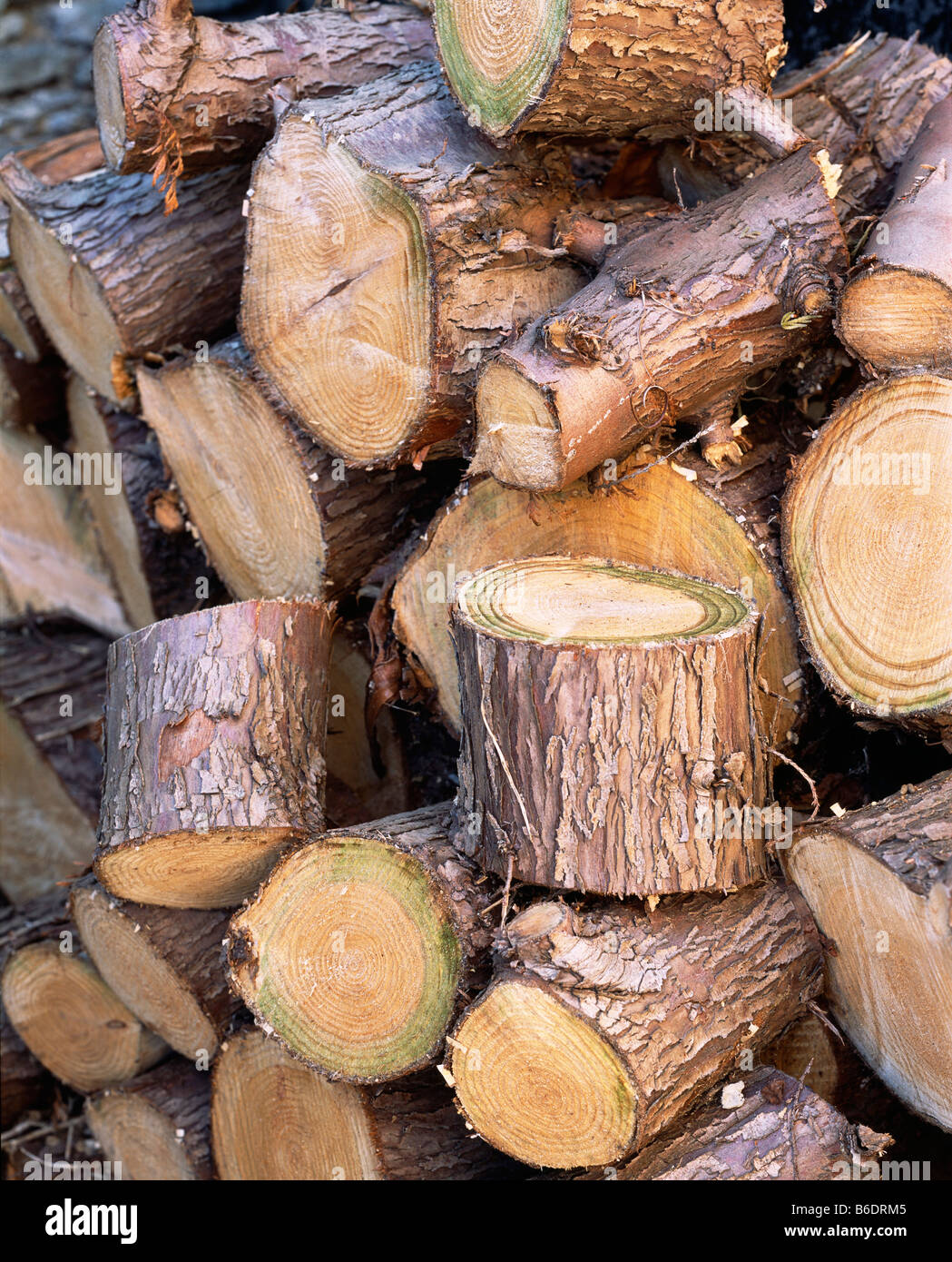 Wood pile of chopped logs for use as firewood. Stock Photo