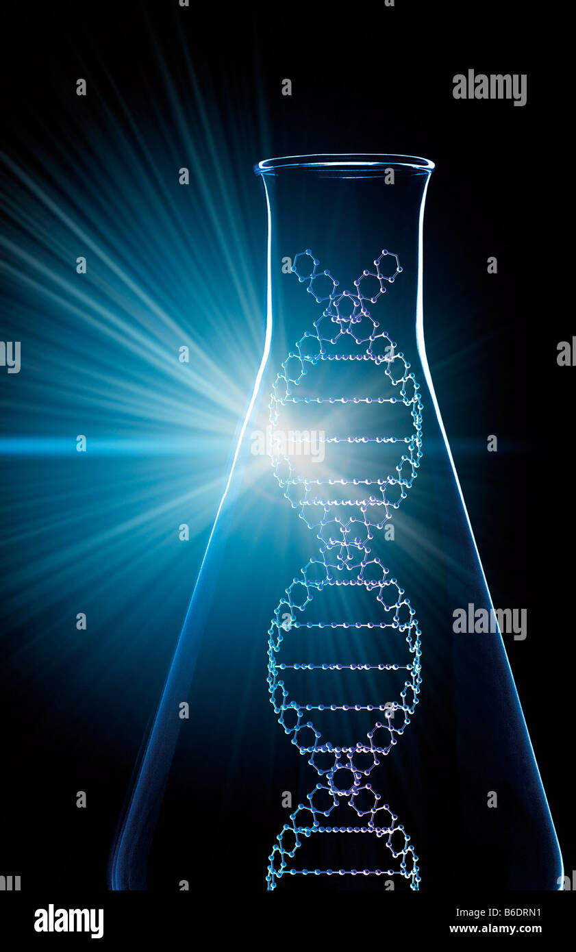 research. Computer artwork of part ofa DNA molecule in a