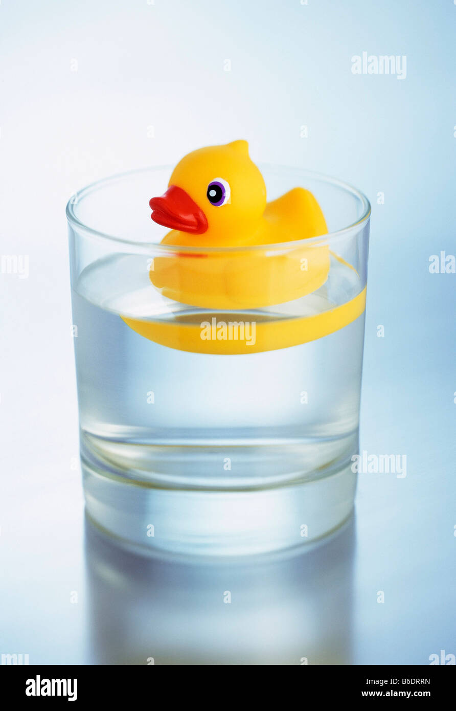 Toy duck floating on water inside a glass of water. Stock Photo