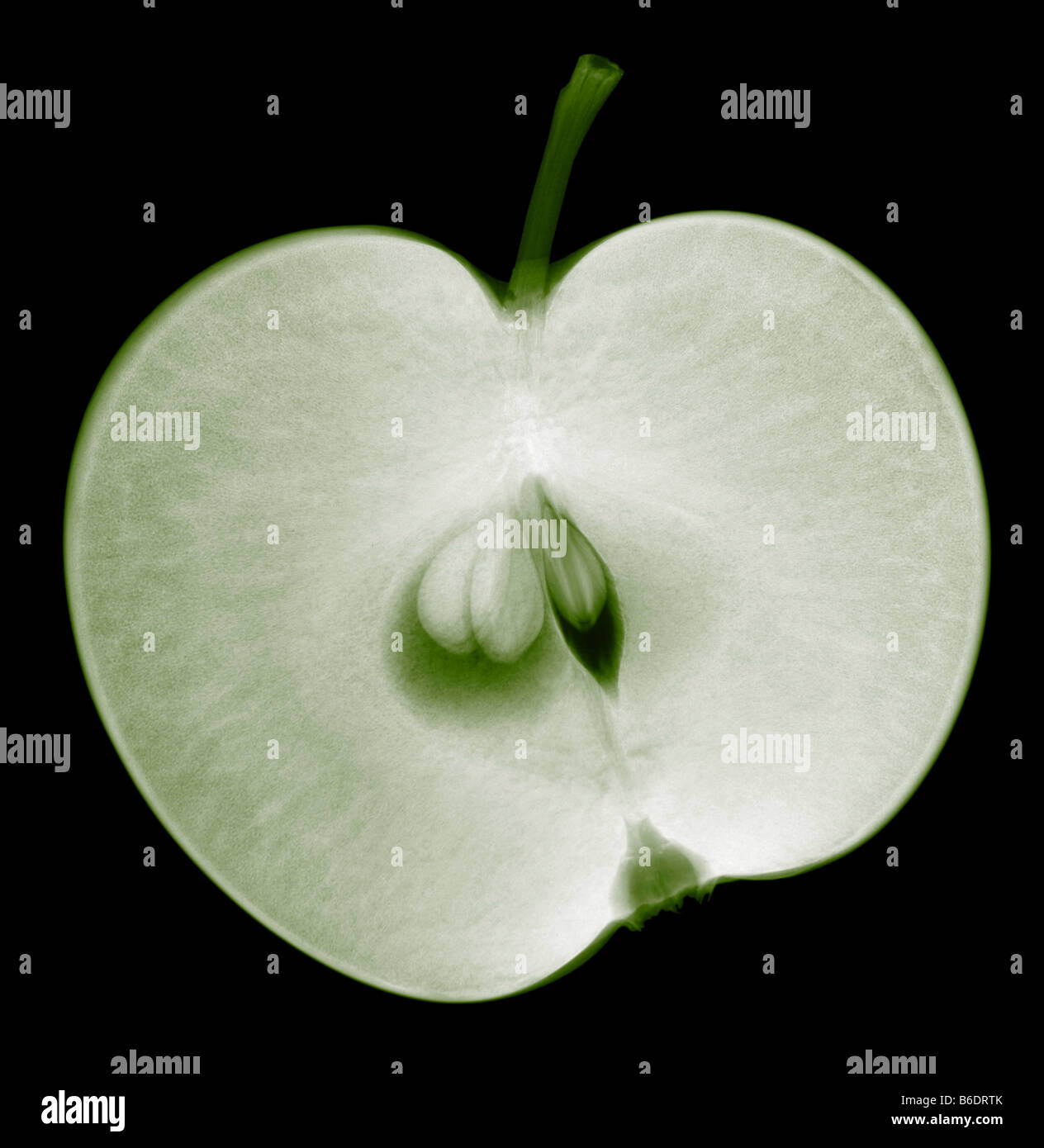 Apple half (Malus sp.). X-ray of an apple sliced in half. At the centre are the pips (seeds)of the fruit. Stock Photo
