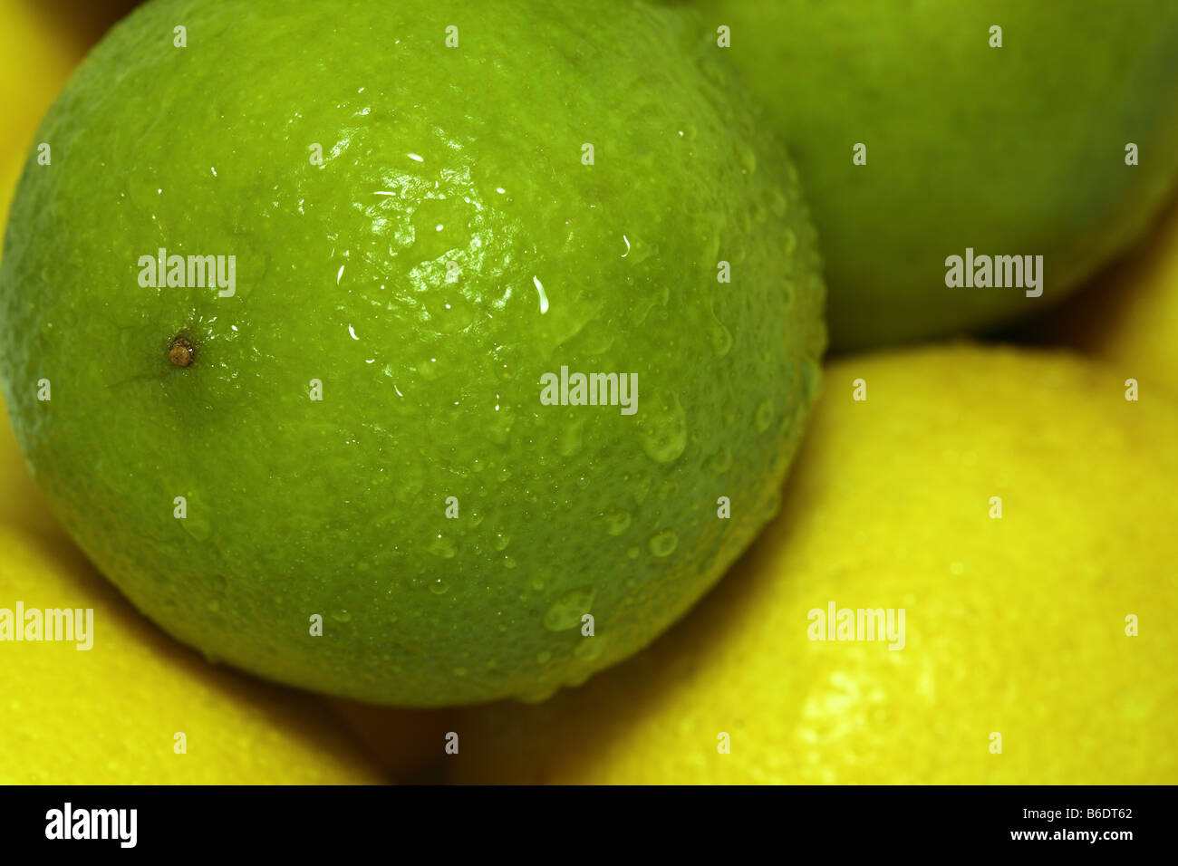 Lemon and Limes Stock Photo Alamy