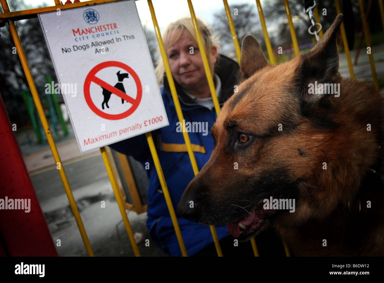 What Can A Dog Warden Do