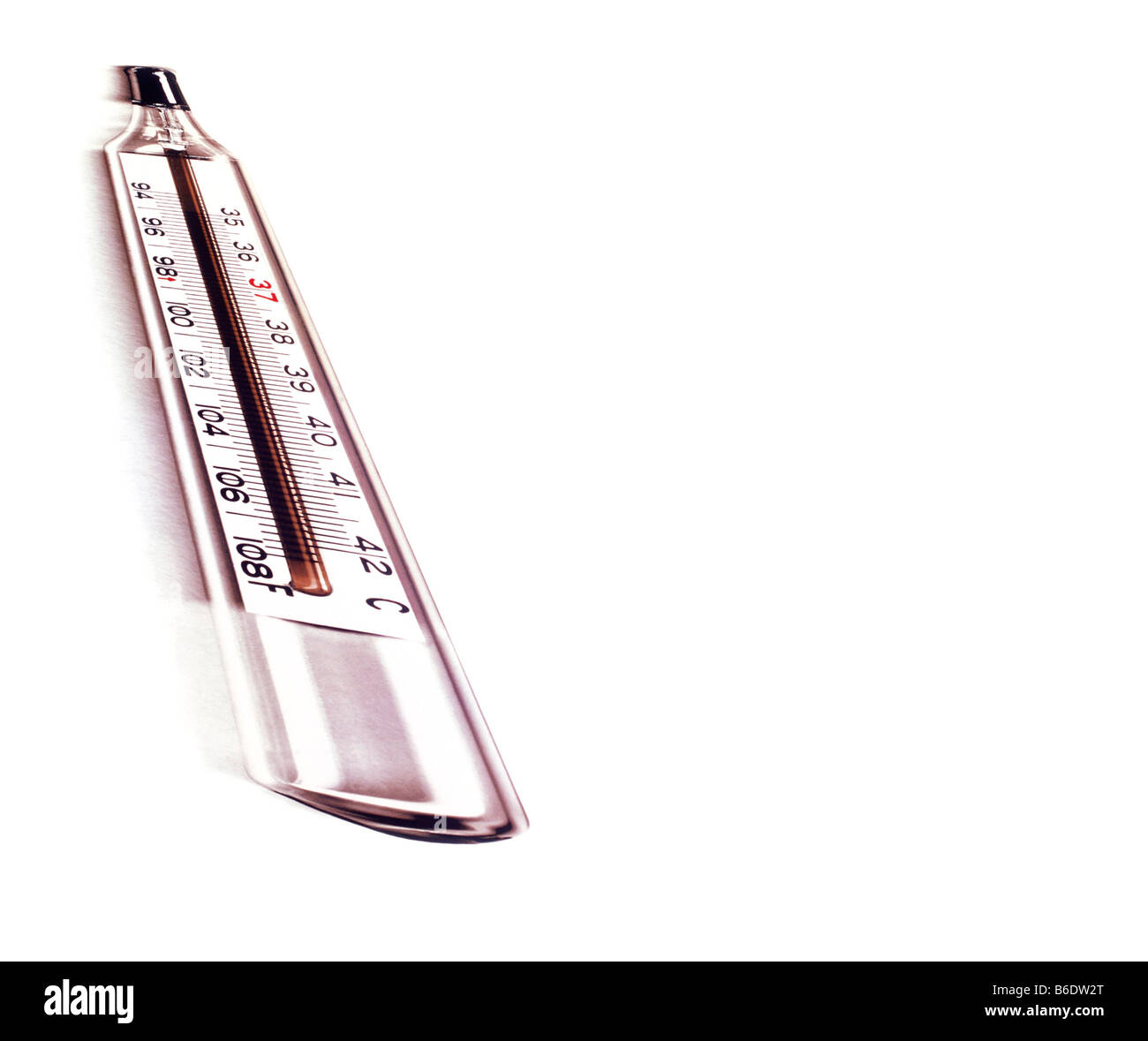 Thermometer. Clinical thermometer with a scalein both degrees Celsius and Fahrenheit. Stock Photo