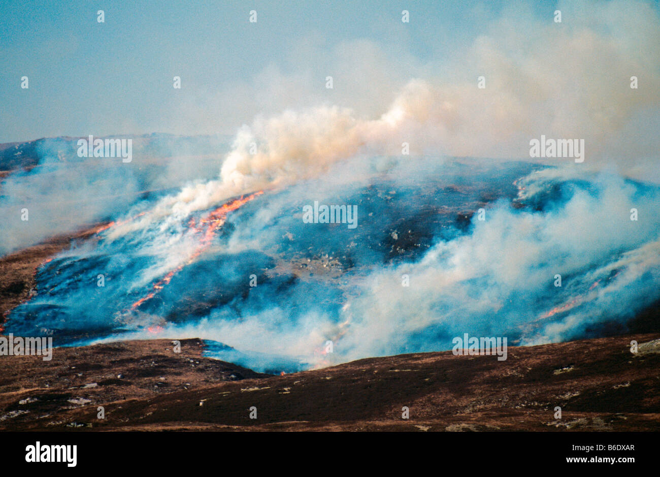 Burning heather for grouse shooting in North West Scottish Highlands Stock Photo