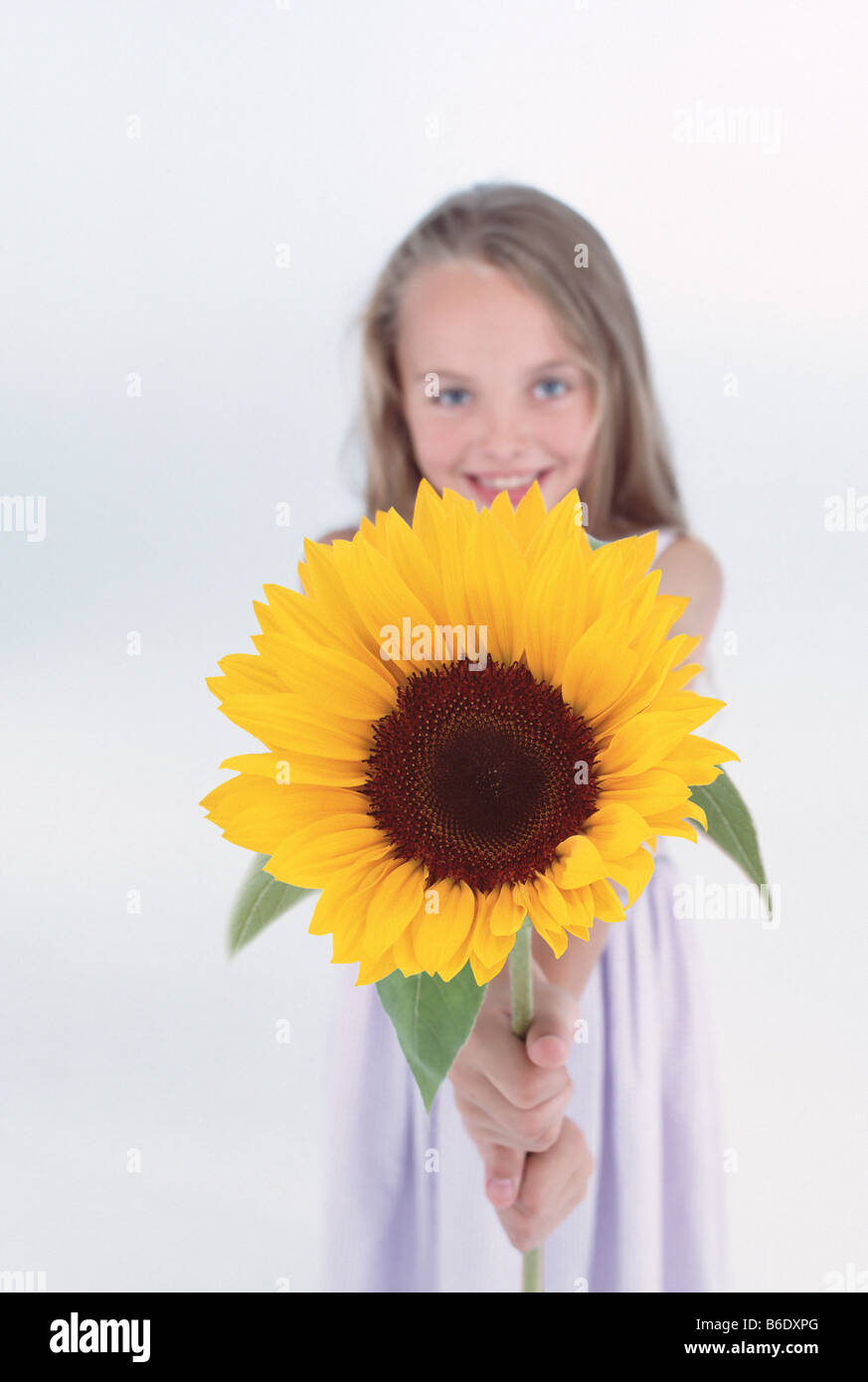 Flower girl. Smiling girl holding a sunflower (Helianthus sp.). Stock Photo
