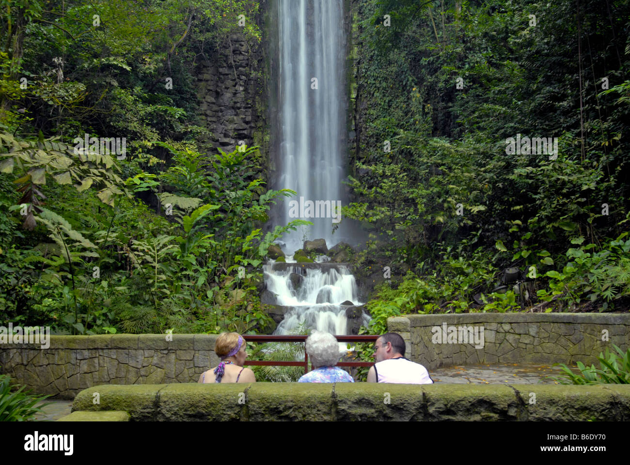 A Waterfall In Jurong Bird Park Singapore Stock Photo 21205044