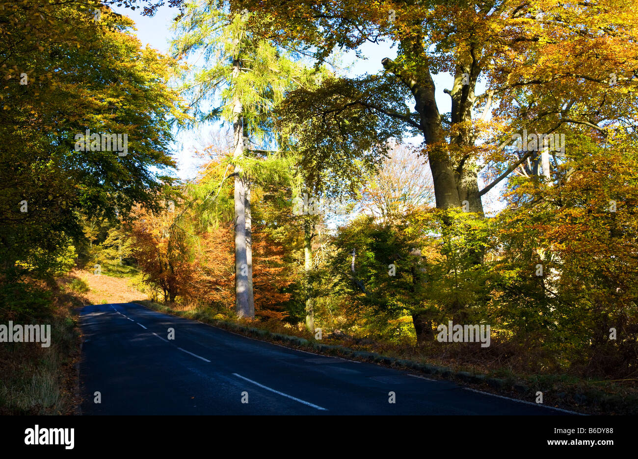 A sunny autumn day along an empty road the A592 in the Lake District National Park Cumbria England UK Stock Photo
