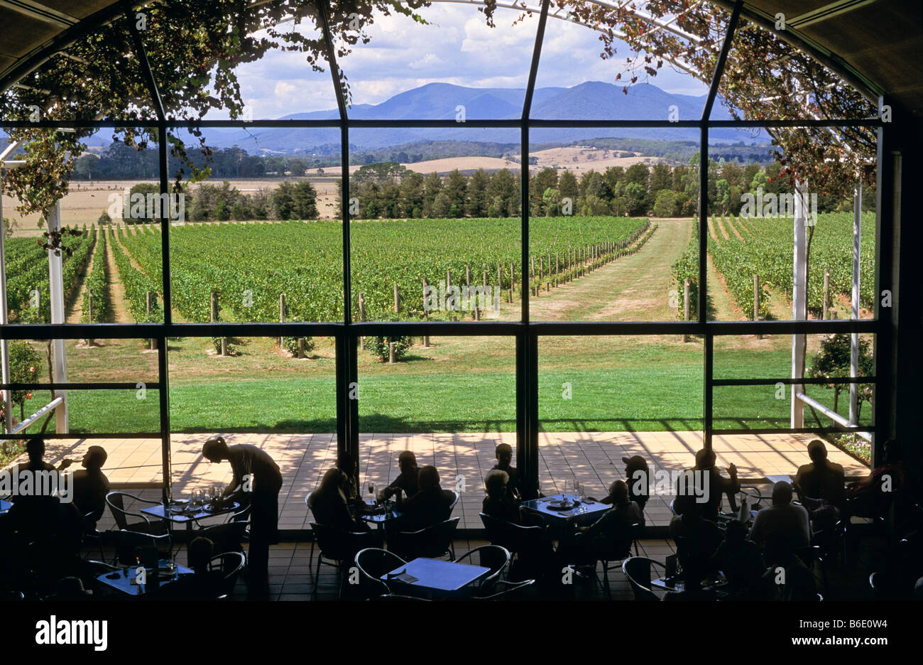 Diners Domaine Chandon Winery, Victoria, Australia, Stock Photo