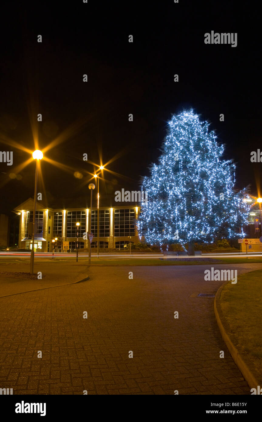 Xmas Christmas Tree With Fairy Lights Illuminated Lit At Night Reigate Surrey Stock Photo