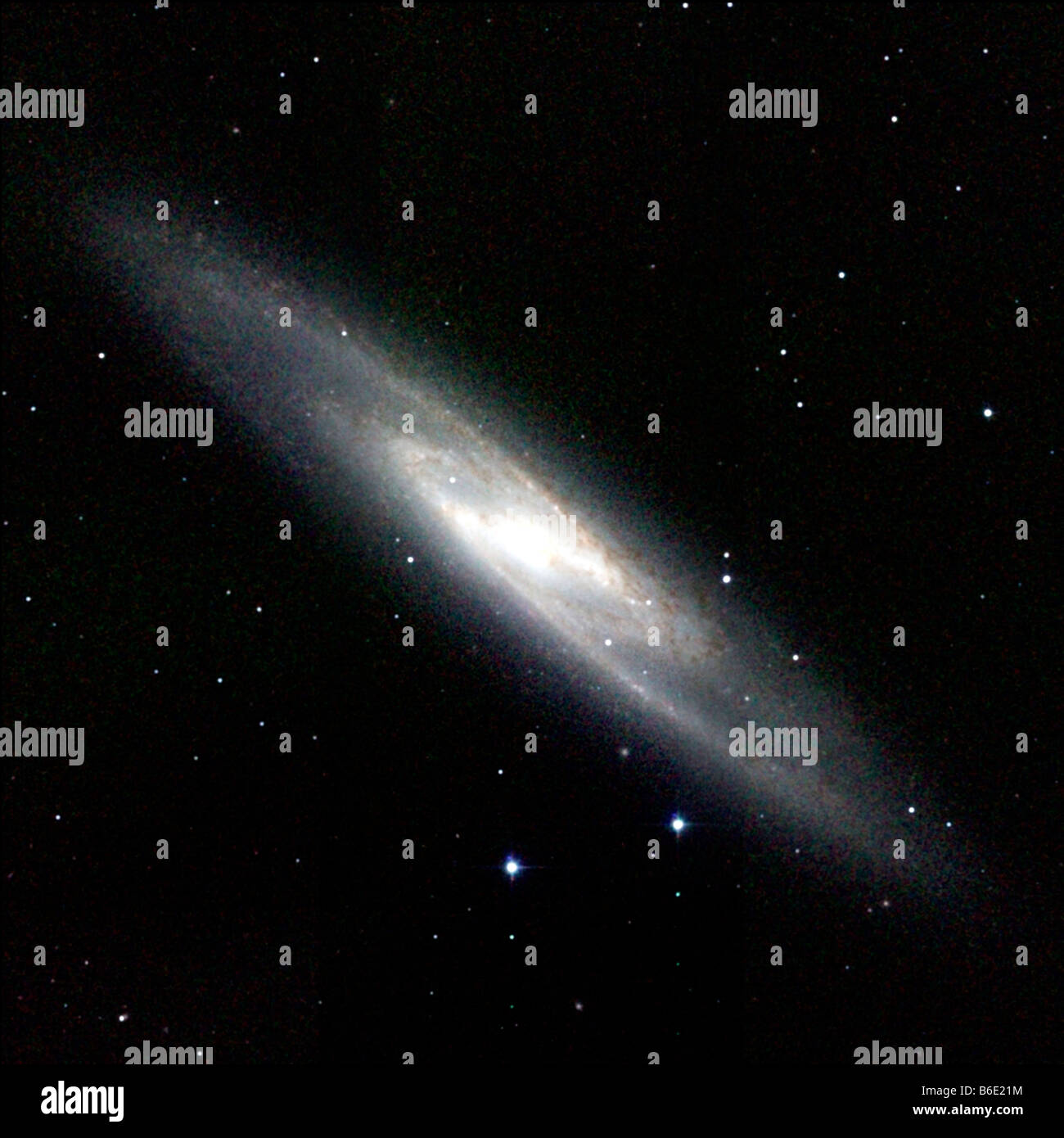 Spiral galaxy NGC 253, Infrared composite image of the spiral galaxy NGC 253, also known asthe Silver Coin, or Sculptor, galaxy Stock Photo