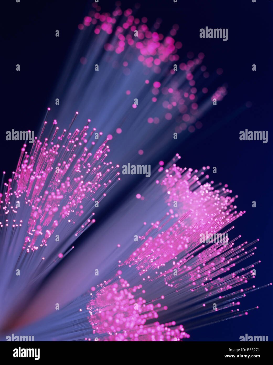 Optical fibres, emitting light. These fibresare used for transmitting sound and images in theform of light. Stock Photo