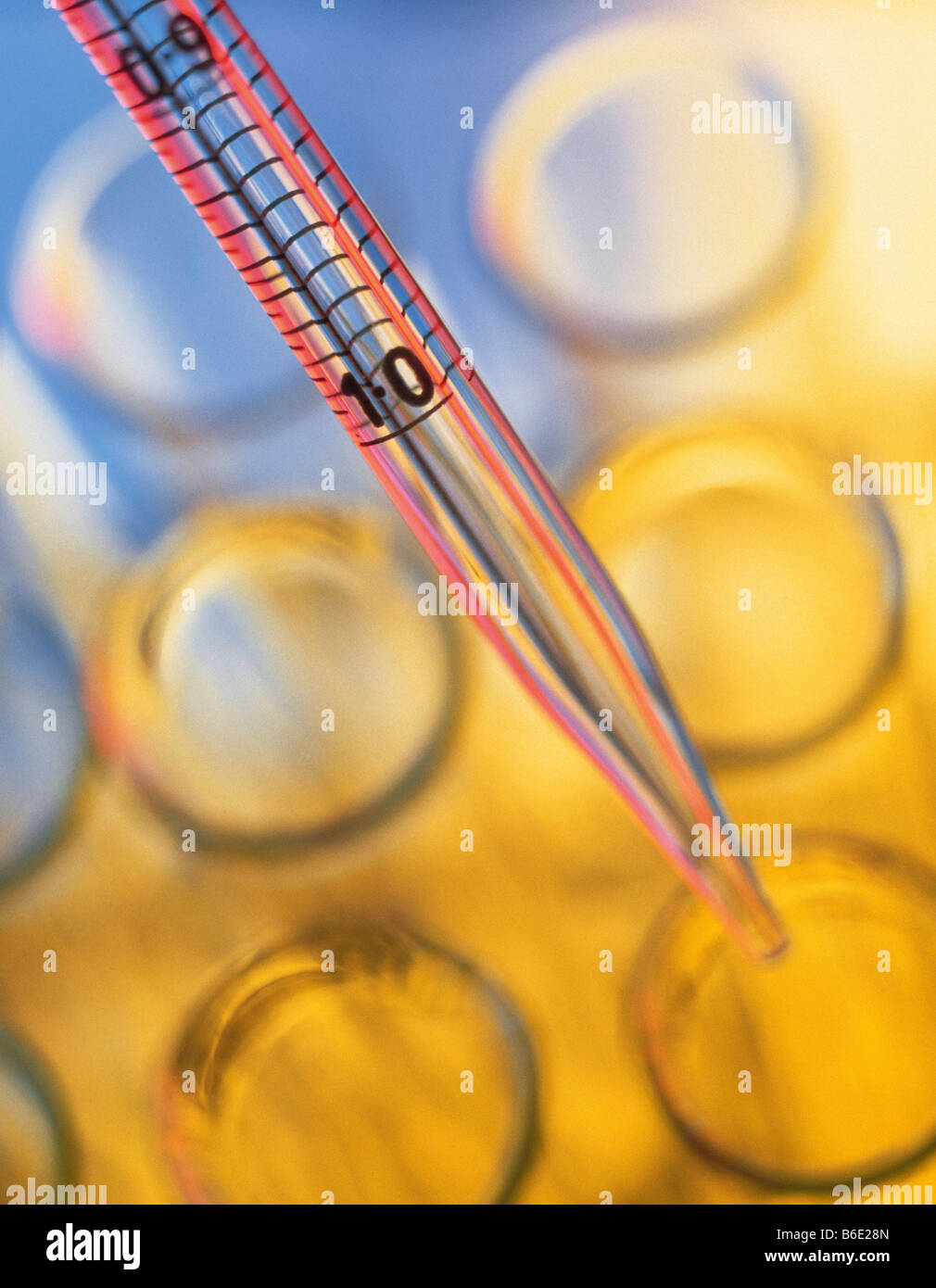 Pipette and test tubes. Pipette places a chemical solution into one of