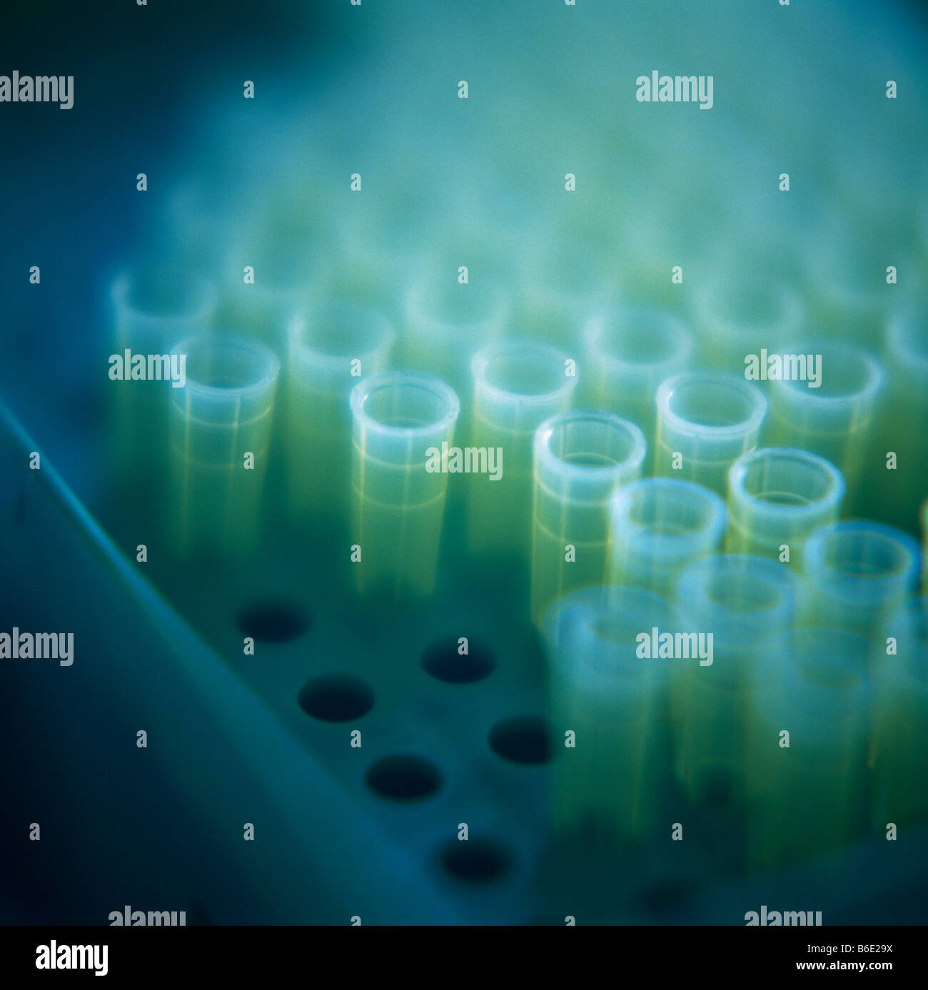 Microtubes stored in a rack. Microtubes can be used in centrifuges ...
