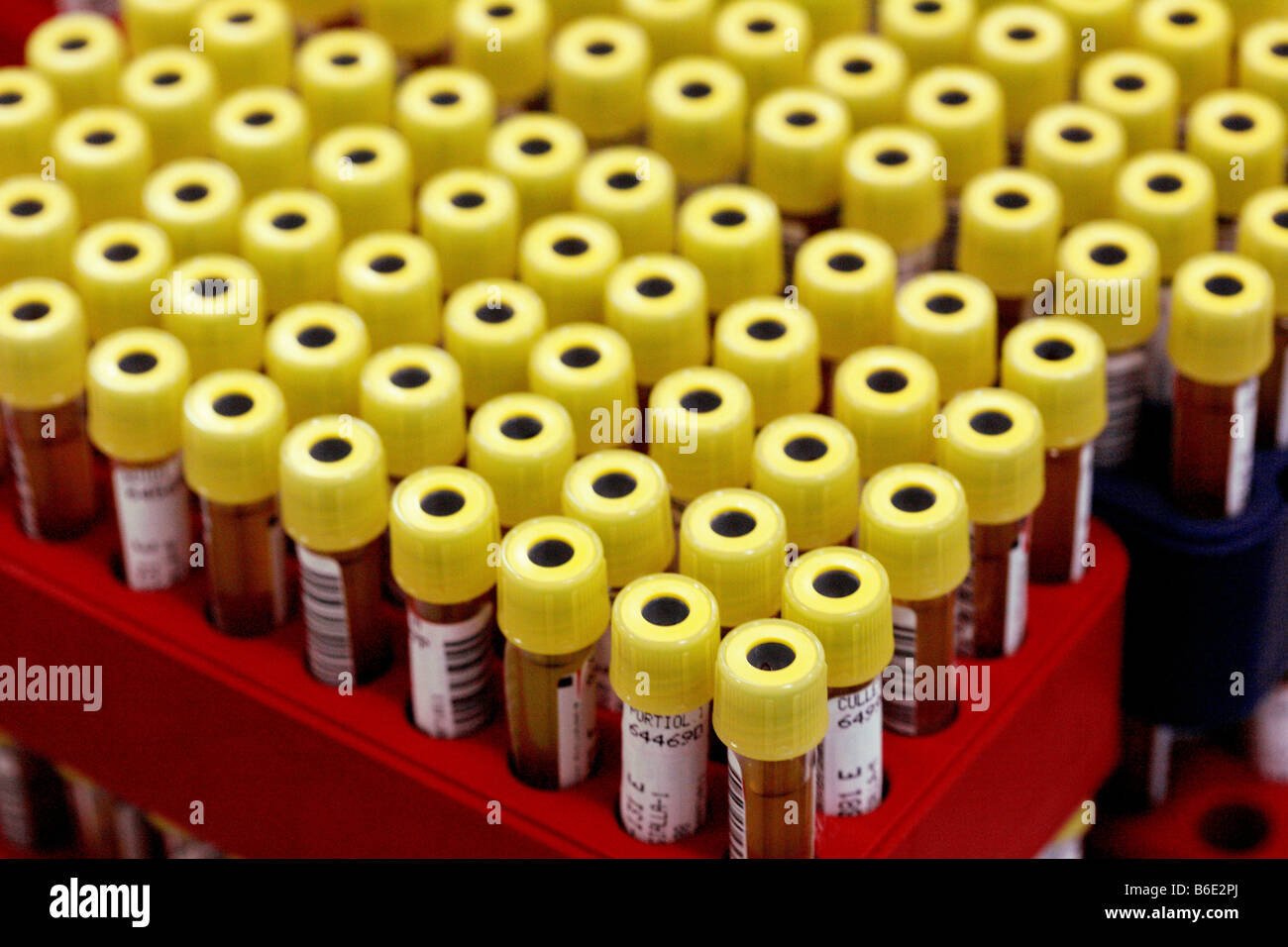 Blood samples. Barcoded vacutainer tubes containing blood samples Stock