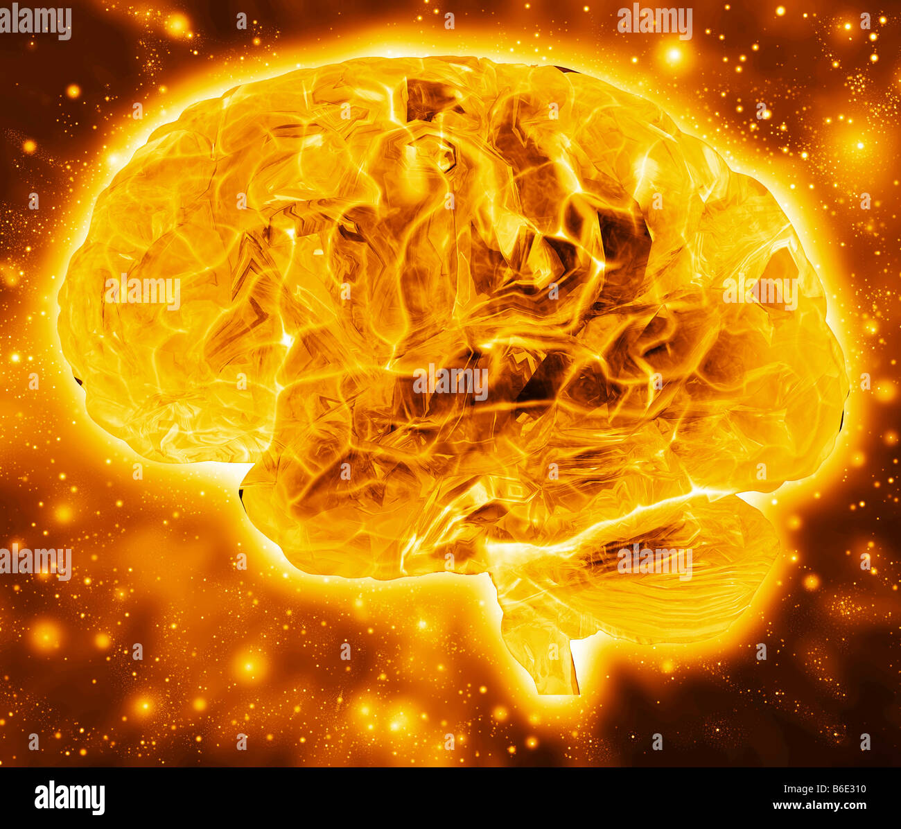 Human brain, computer artwork. The front of thebrain is at left Stock ...