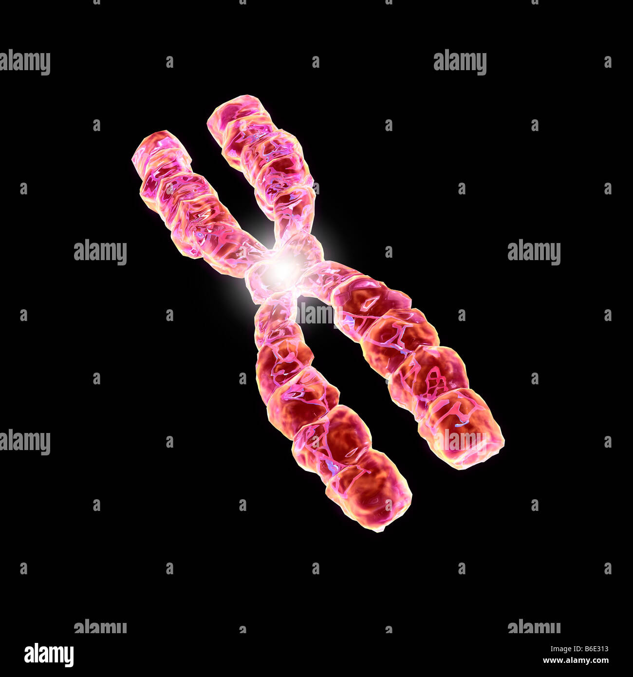 Computer artwork of chromosomes Stock Photo - Alamy