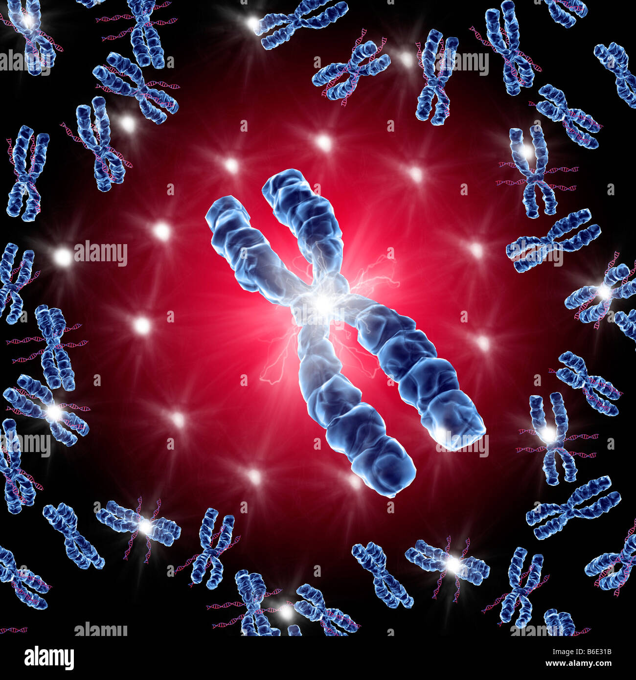 Computer artwork of chromosomes Stock Photo - Alamy