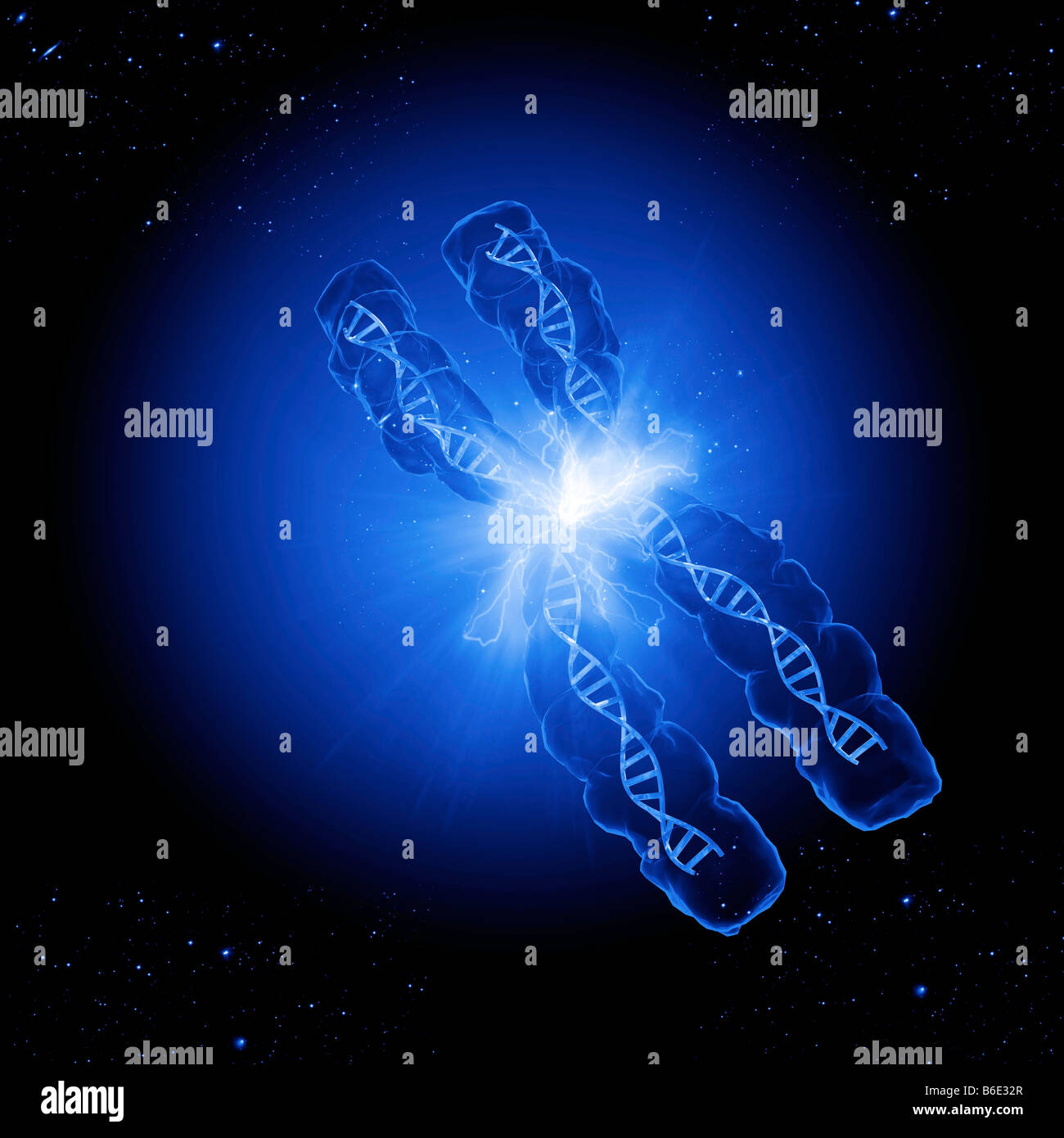 Chromosomes are composed DNA coiled around proteins Stock Photo Alamy