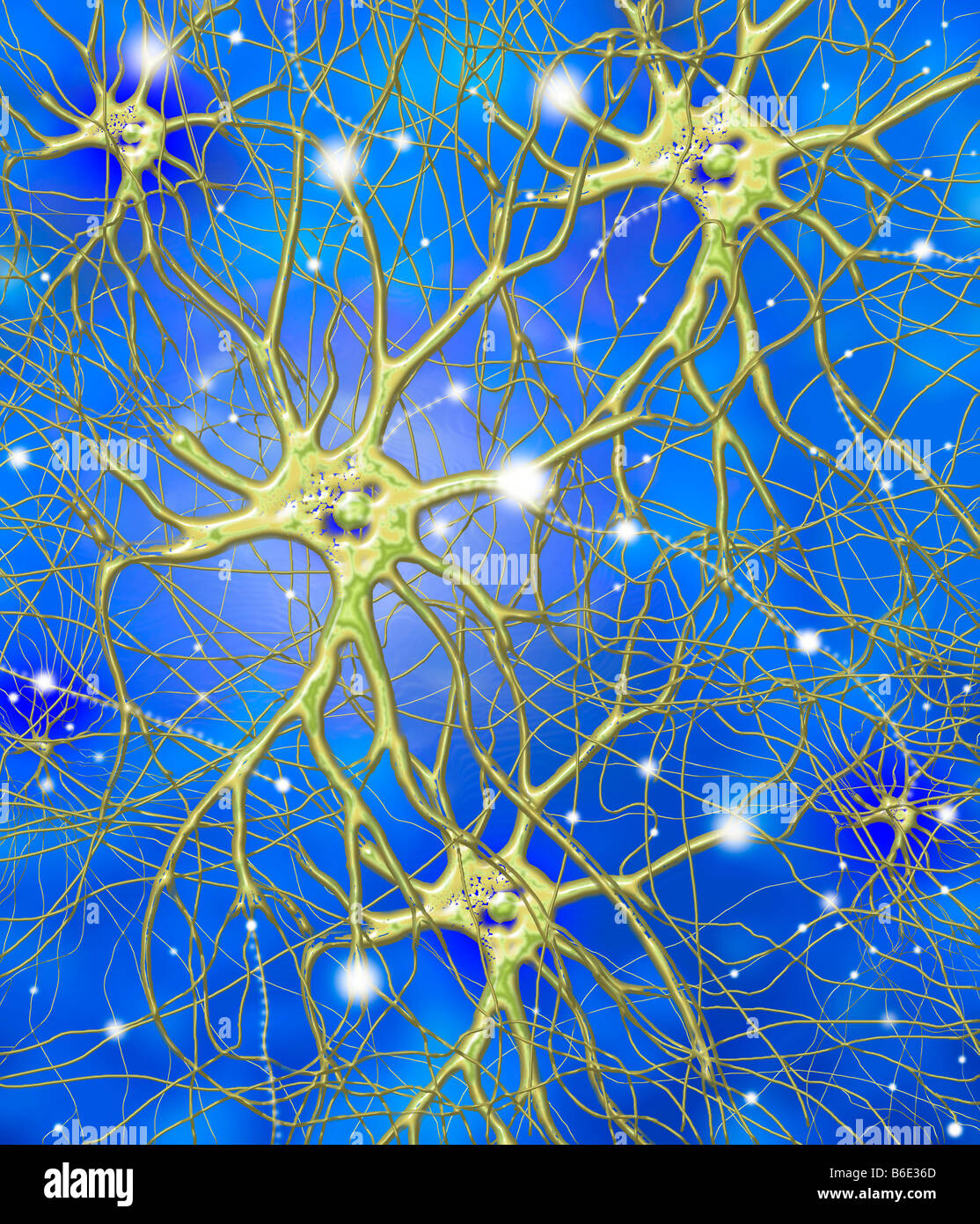 Nerve cell, computer artwork Stock Photo - Alamy