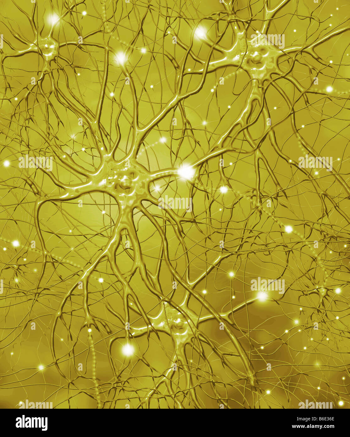 Nerve cell, computer artwork Stock Photo - Alamy