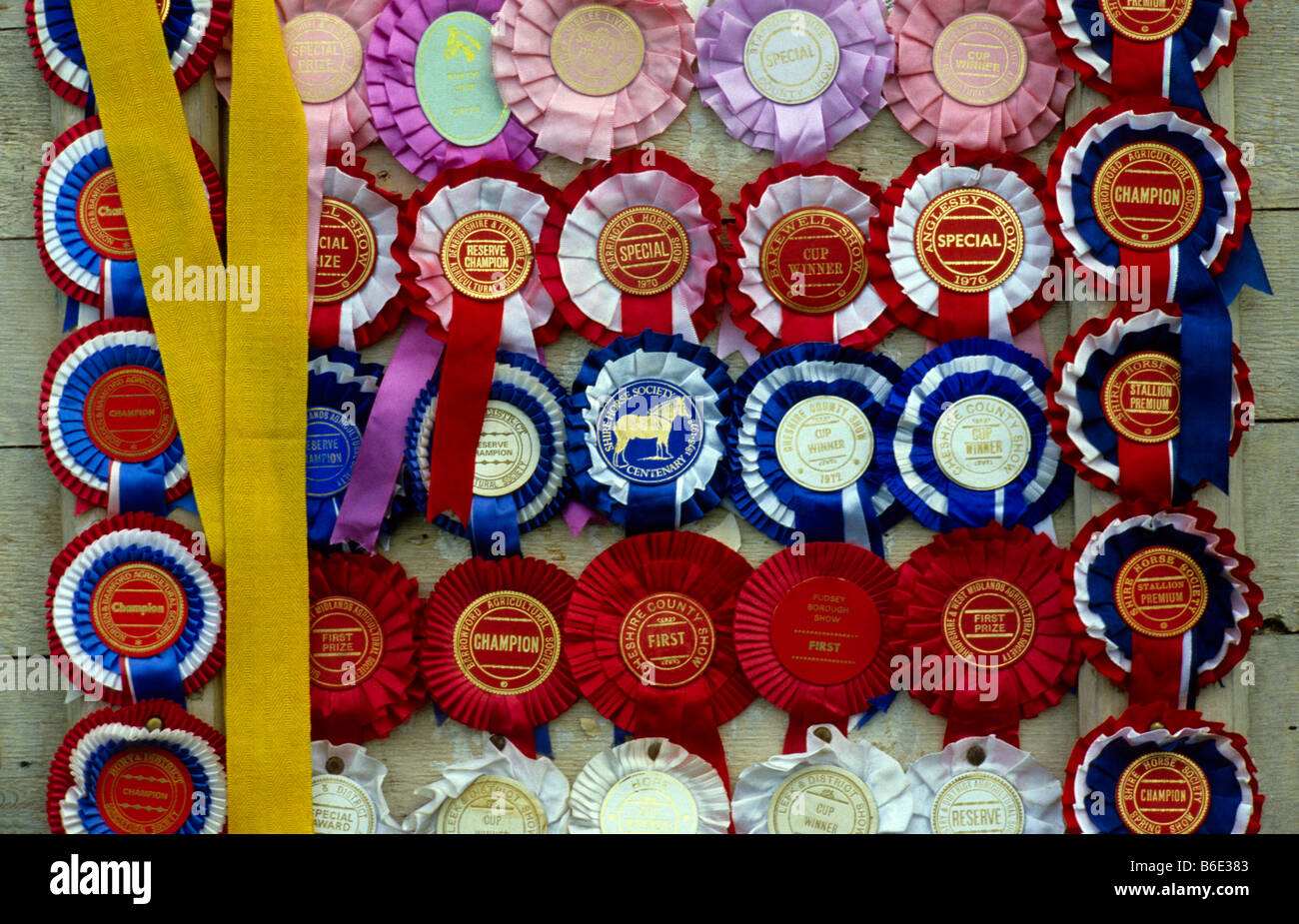 SALE NOW ON 5 sets 1st to 3rd star point rosettes sets horse/dog 