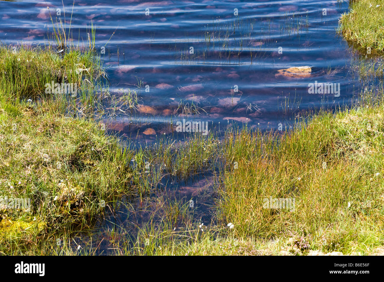 Peaty water in a Scottish loch Loch Dubh na Maoil, Mellon Udrigle, Wester Ross, Highland, Scotland Stock Photo