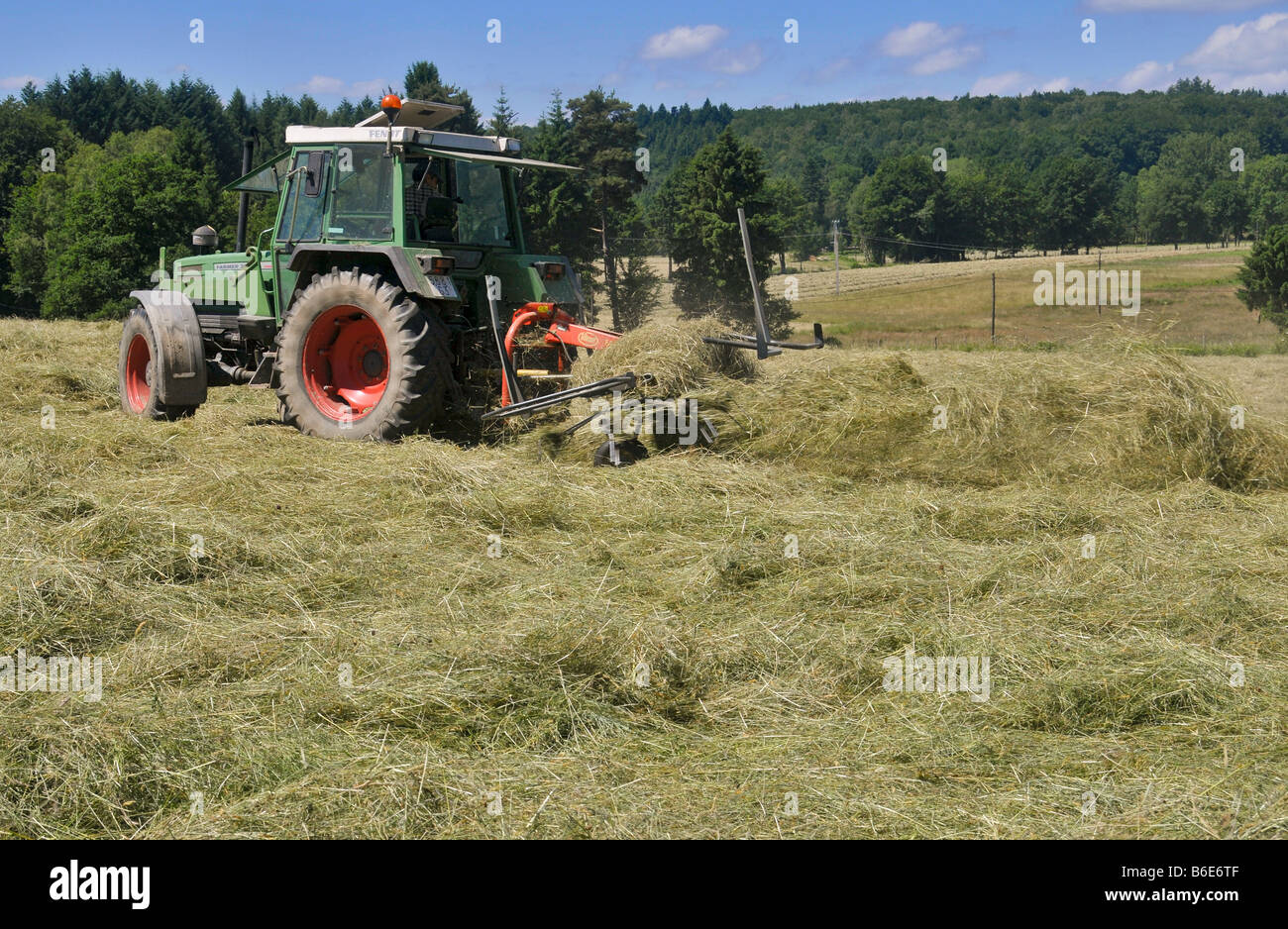 Haymaking A tractor tedding a freshly cut meadow Stock Photo Alamy