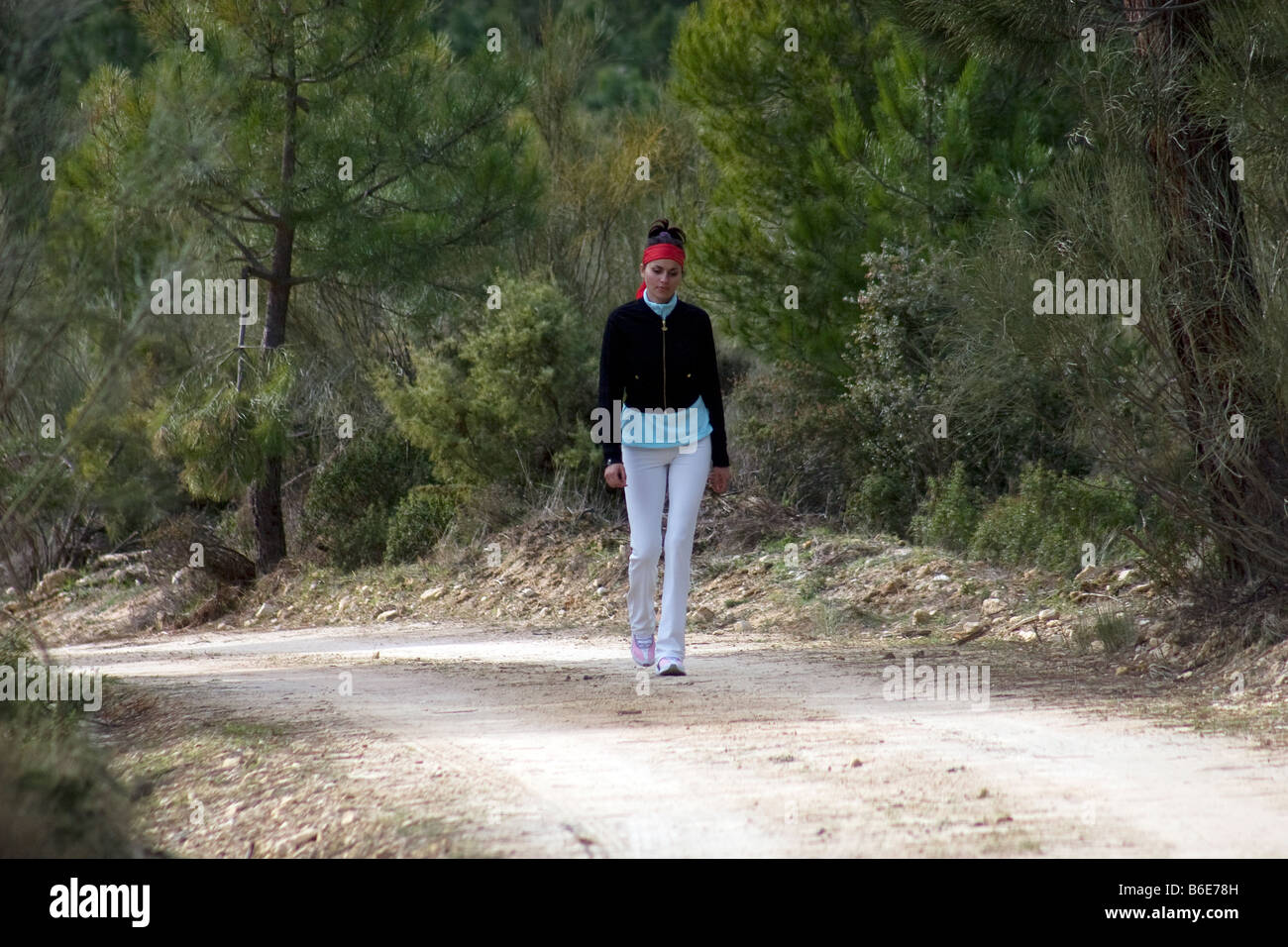 Spanish mountains pine forest hi-res stock photography and images - Alamy