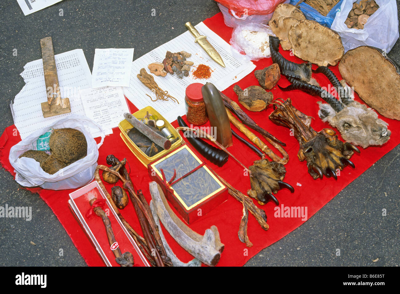 Ingredients for chinese medicines using tiger bones penisses claws et al Stock Photo