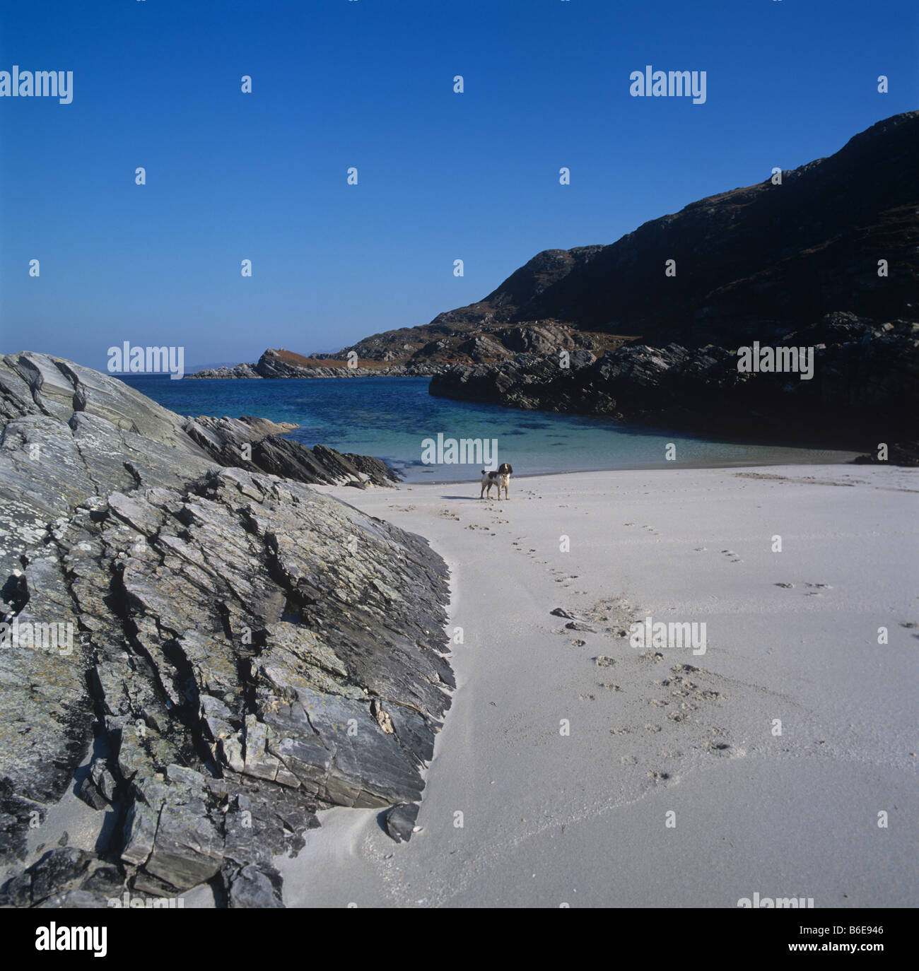 Shell sand beach on the Sound of Arisaig near Smirisary Moidart Scotland Stock Photo
