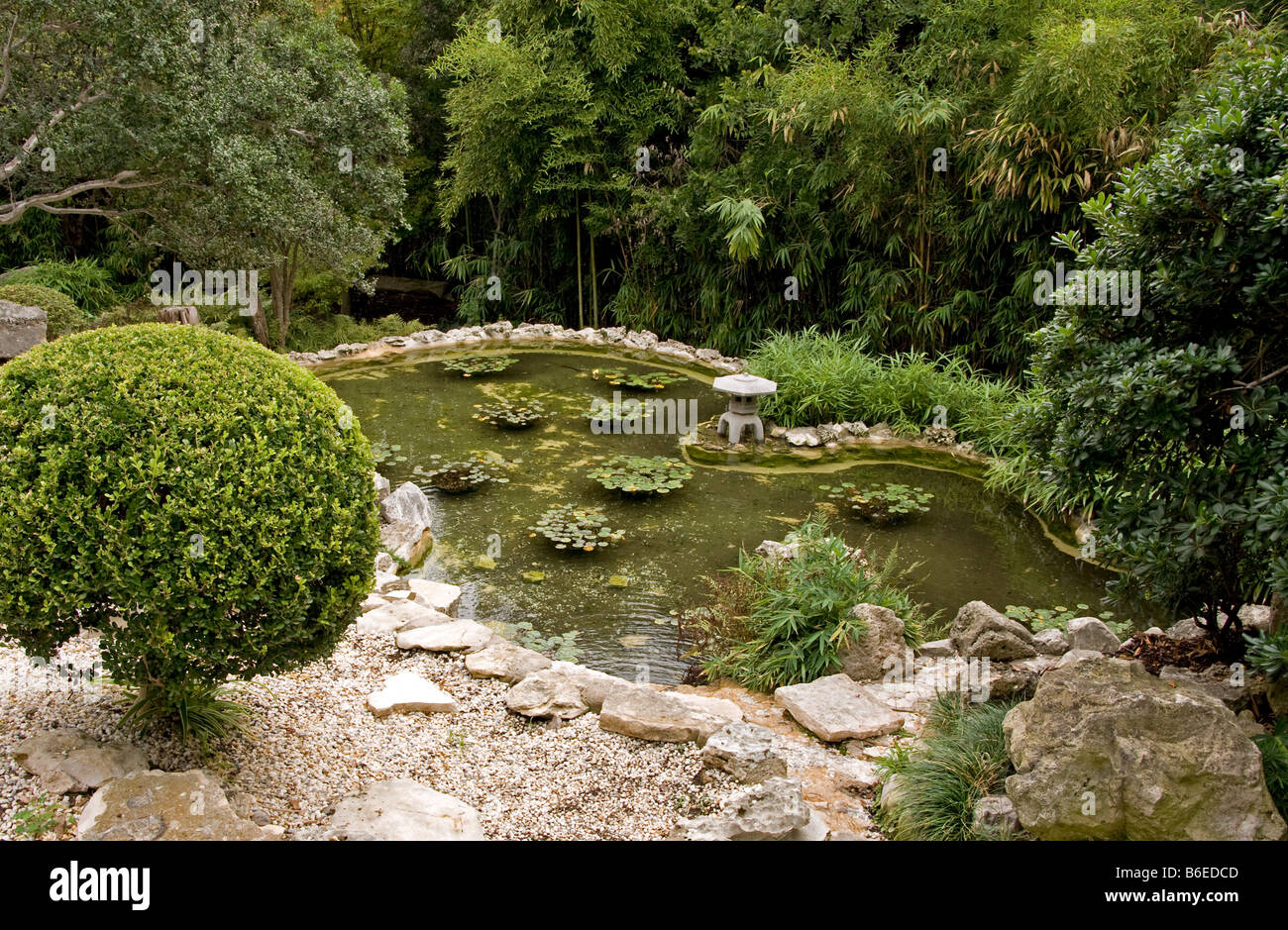 Austin's Zilker Park Botanical Gardens, Japanese koi pond Stock Photo