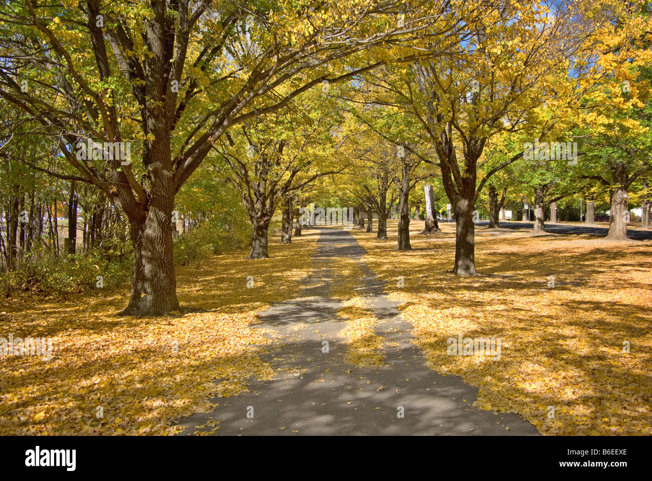 Nice park in autumn hi-res stock photography and images - Alamy