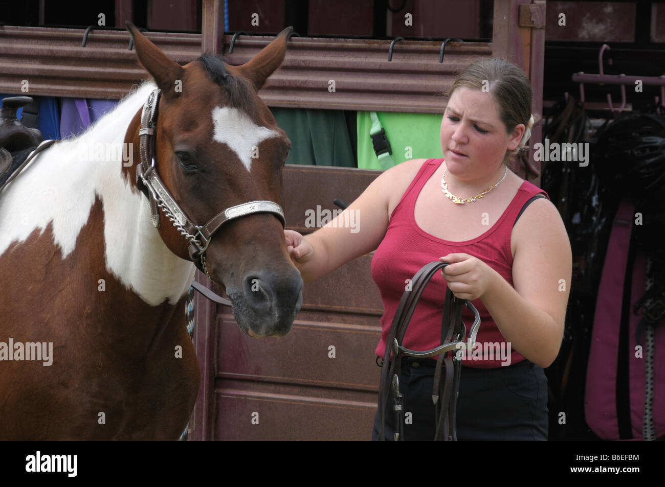 young woman preparing to put a harness on a horse in Bellville