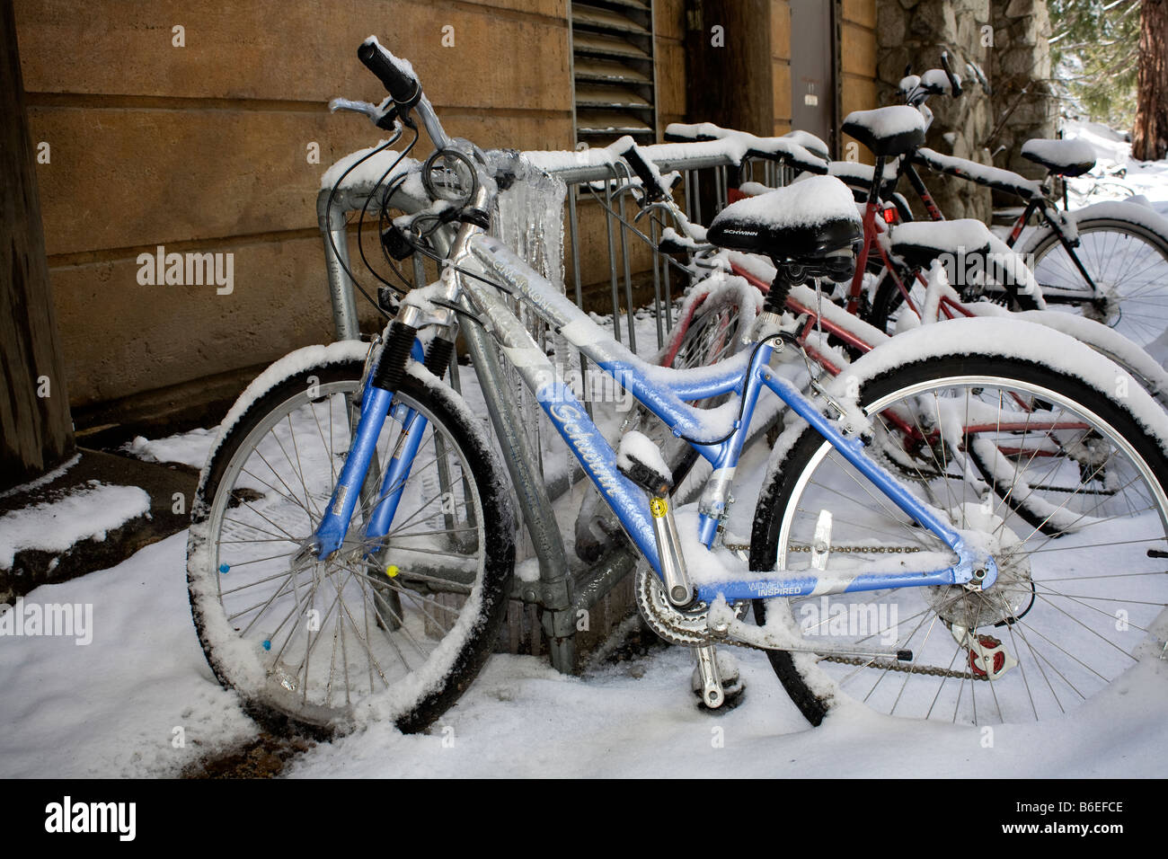 Covered bicycles hires stock photography and images Alamy