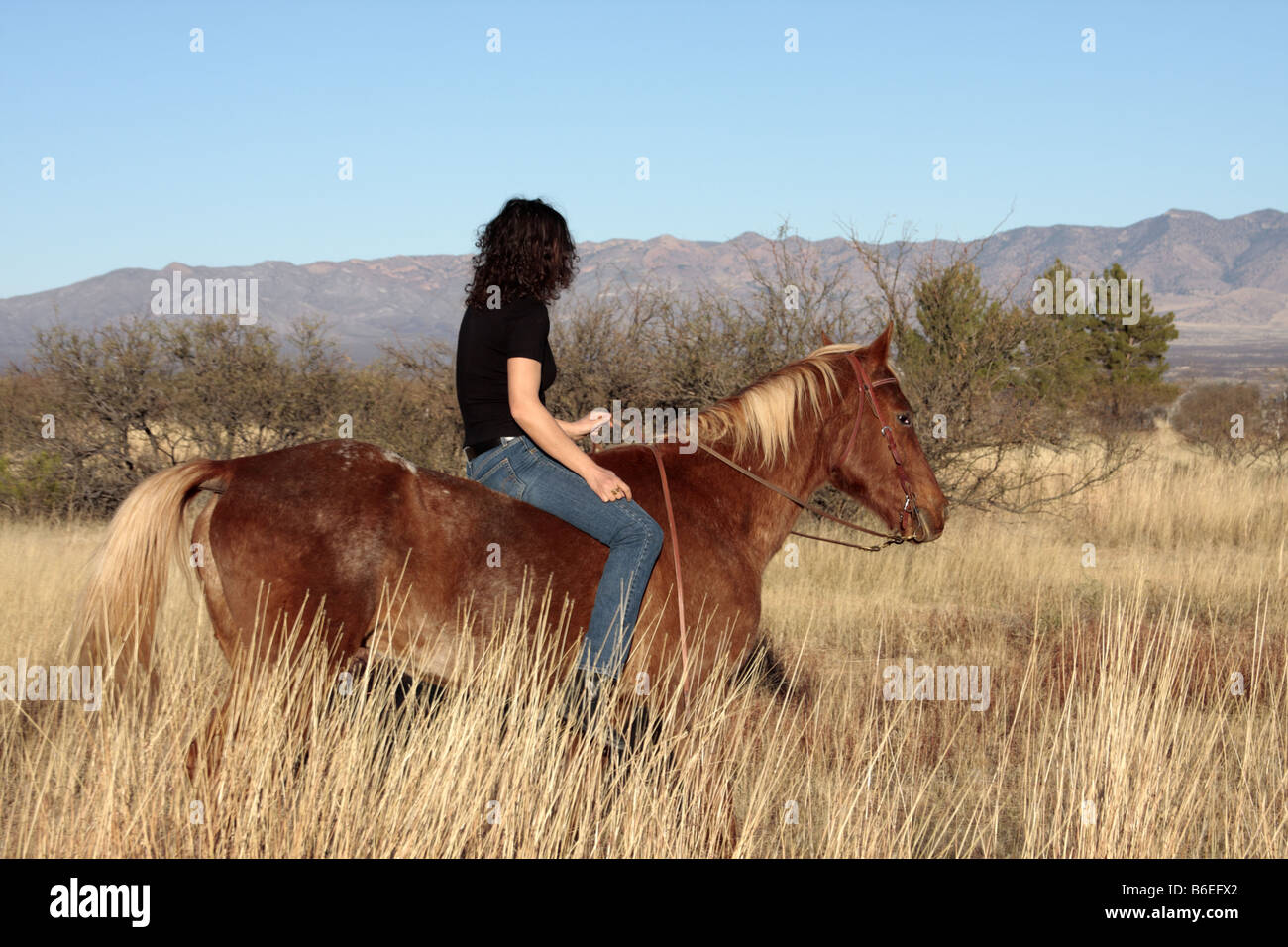 Woman and horse, Arizona, USA Stock Photo - Alamy