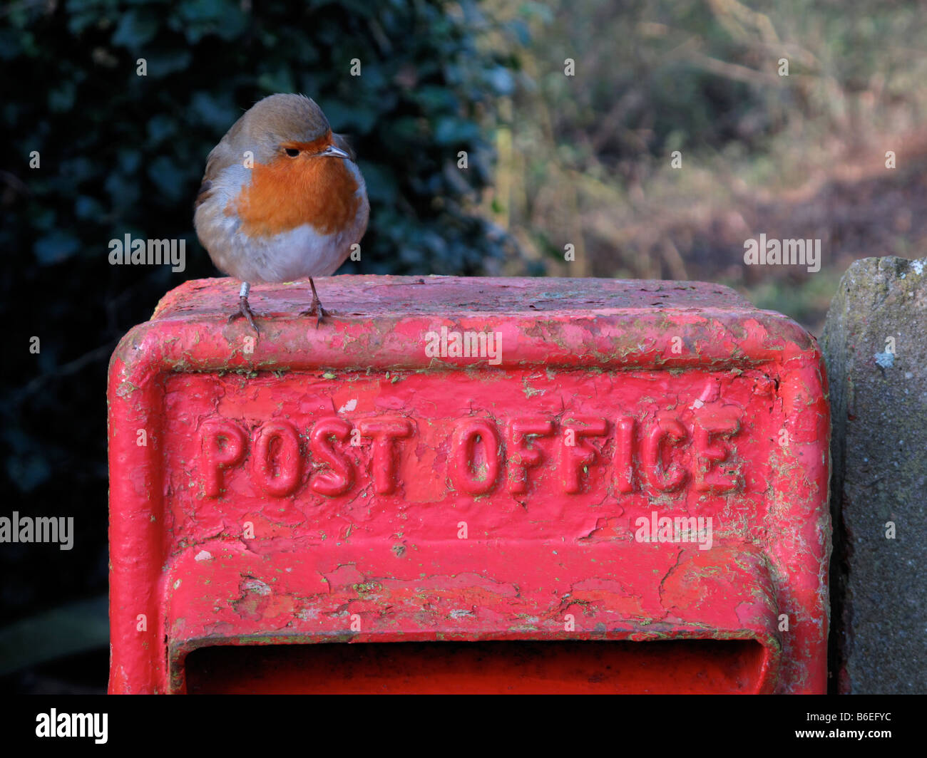 Robin On Royal Mail Post Box Stock Photo Alamy