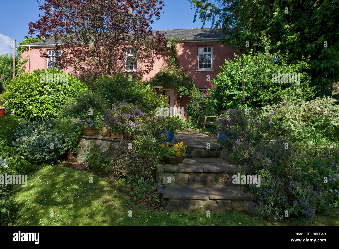 PINK COUNTRY COTTAGE STONE WALL STEPS AND COTTAGE GARDEN UK Stock Photo