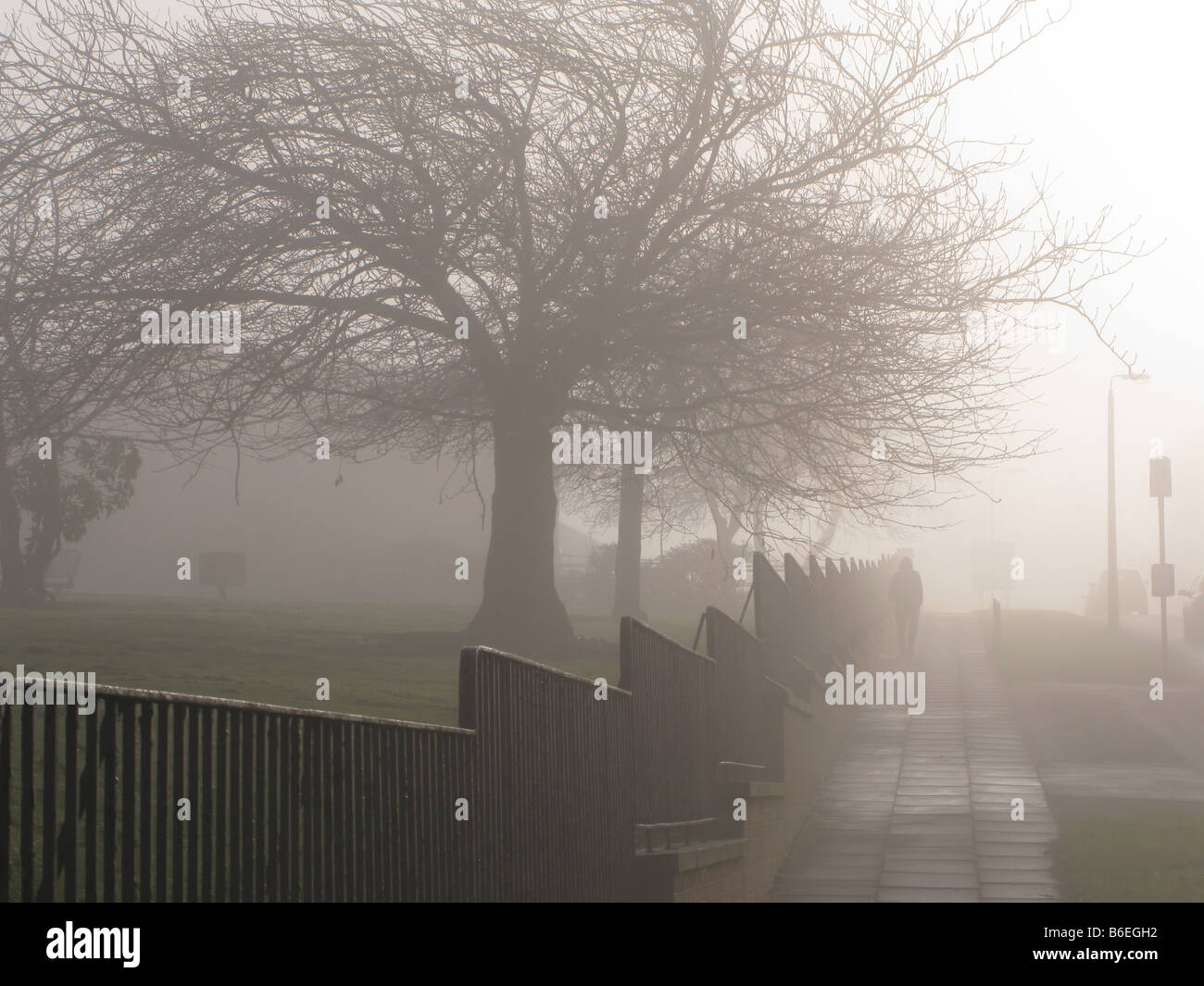 Freezing Fog Stock Photo