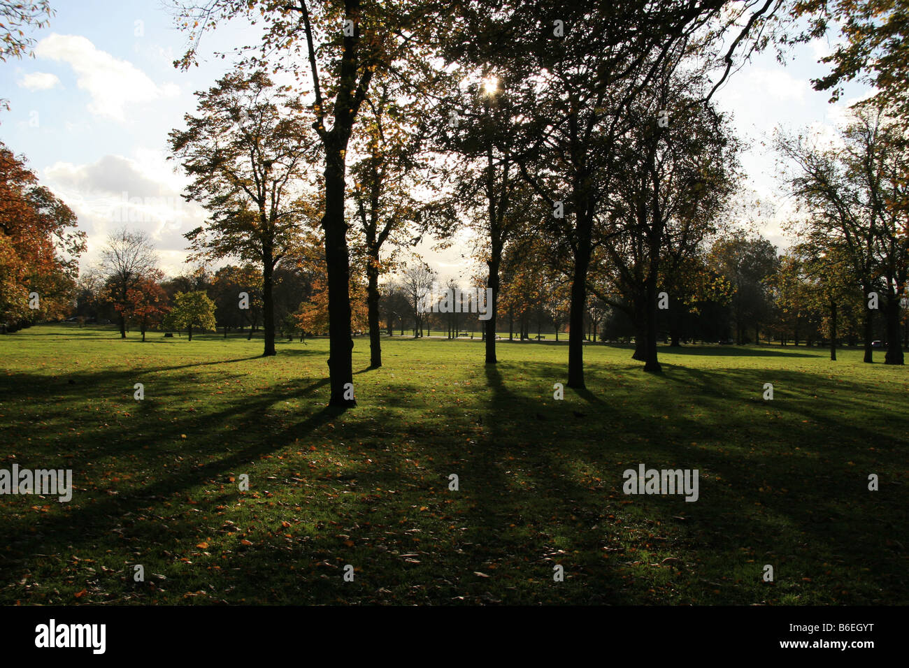 London park sun hi-res stock photography and images - Alamy