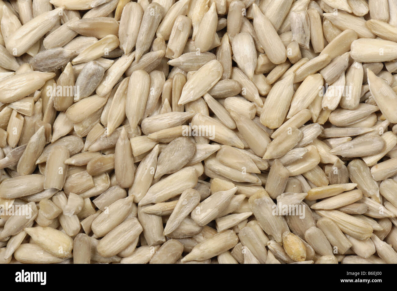 Organic sunflower seeds as sold in health food shops grown in China Stock Photo