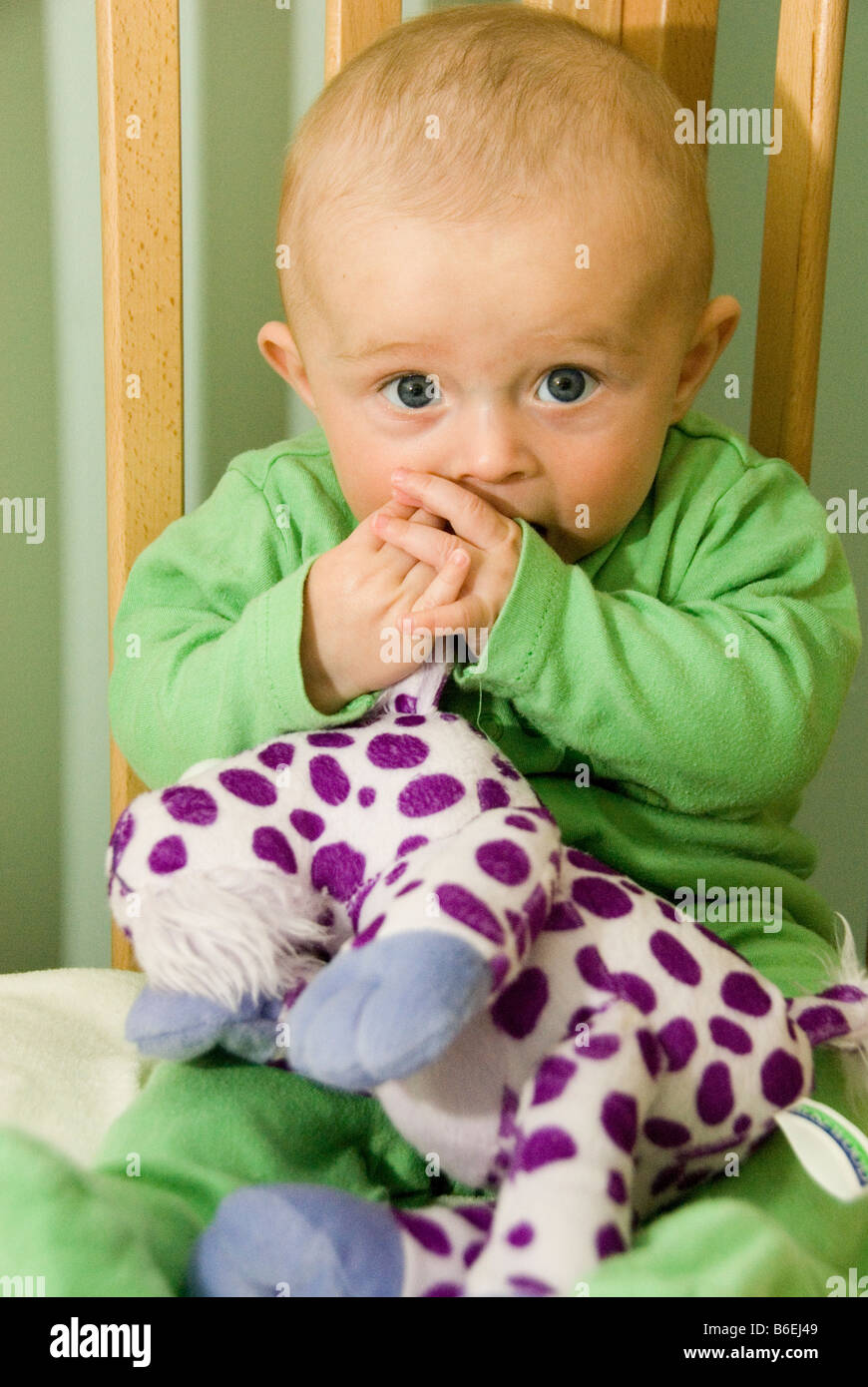 Baby Boy Sitting in Cot Playing with Purple and White Spotted Cuddly