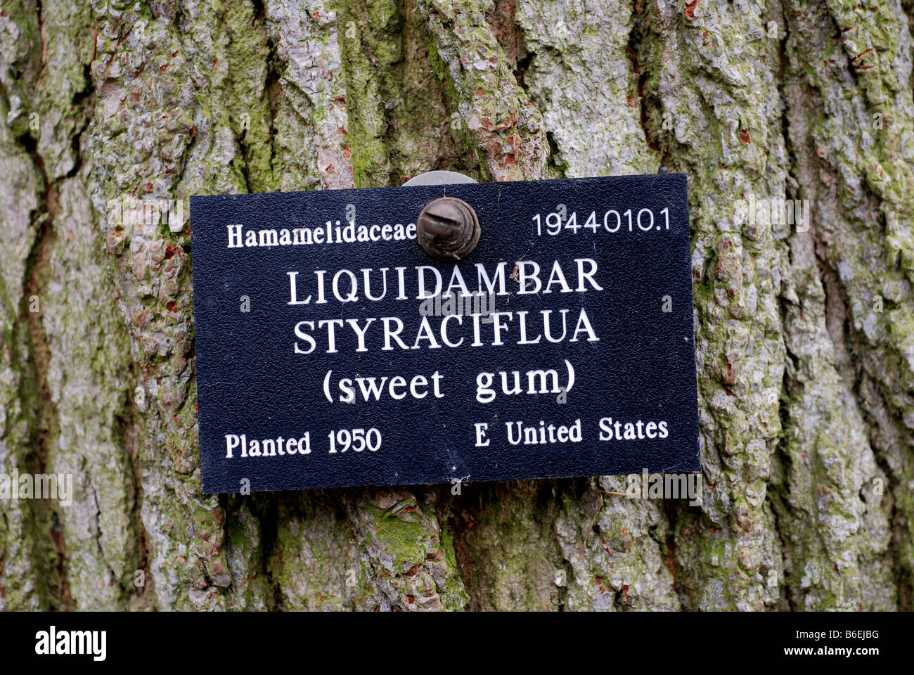 This is a picture of Sly Botanical Garden Plant Labels It is an image of Sly Botanical Garden Plant Labels