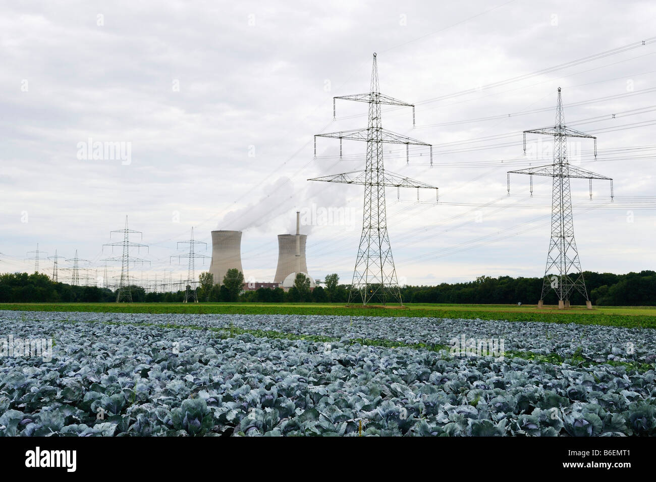 Atomic power station with red cabbage field, Grafenrheinfeld, Lower Franconia, Bavaria, Germany, Europe Stock Photo