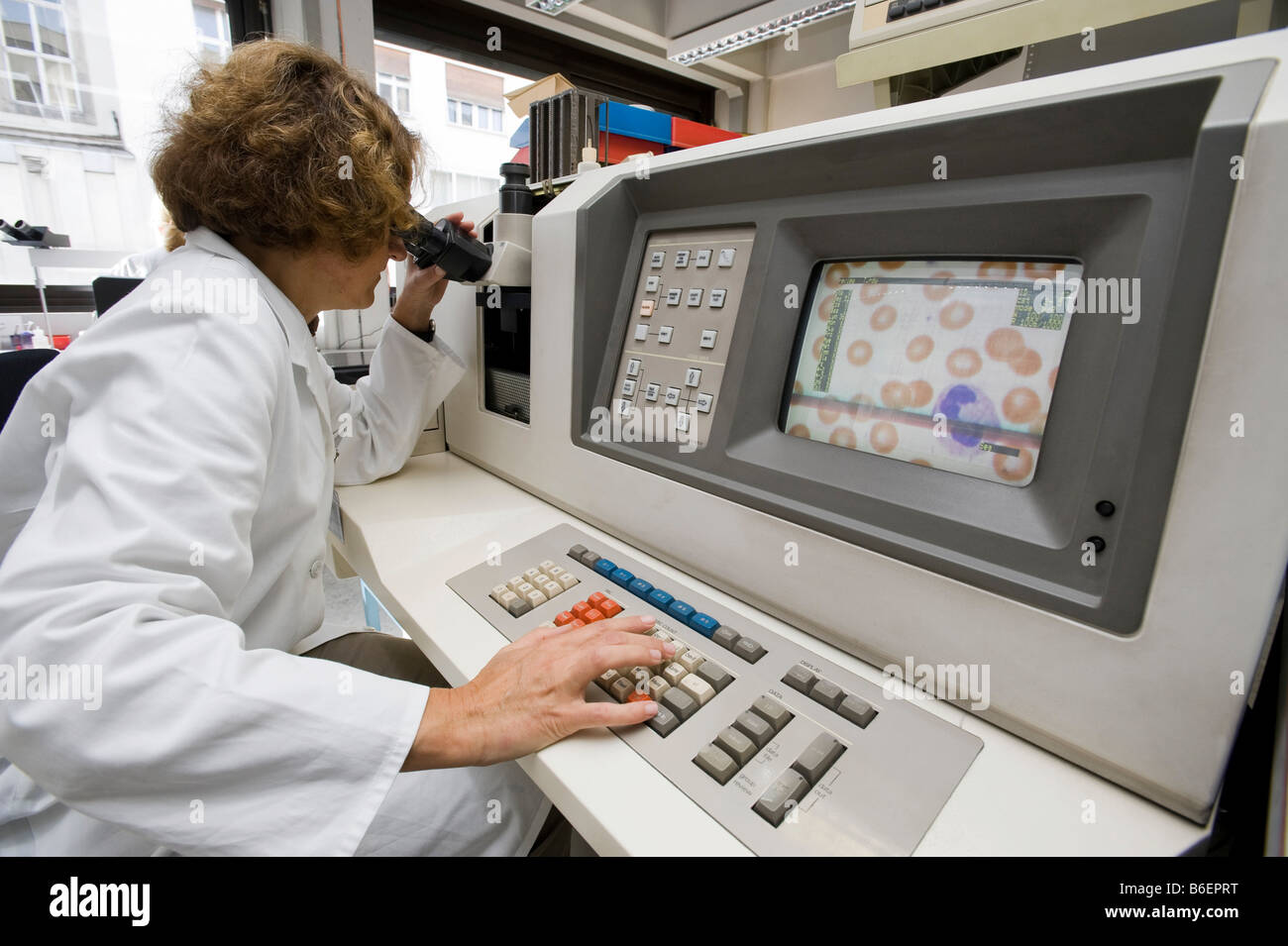 Semi-automated differentiation of blood smears by a laboratory technician in the hematology department Stock Photo