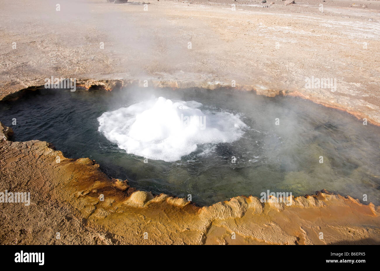 El Tatio geysers, Atacama Desert, Chile Stock Photo
