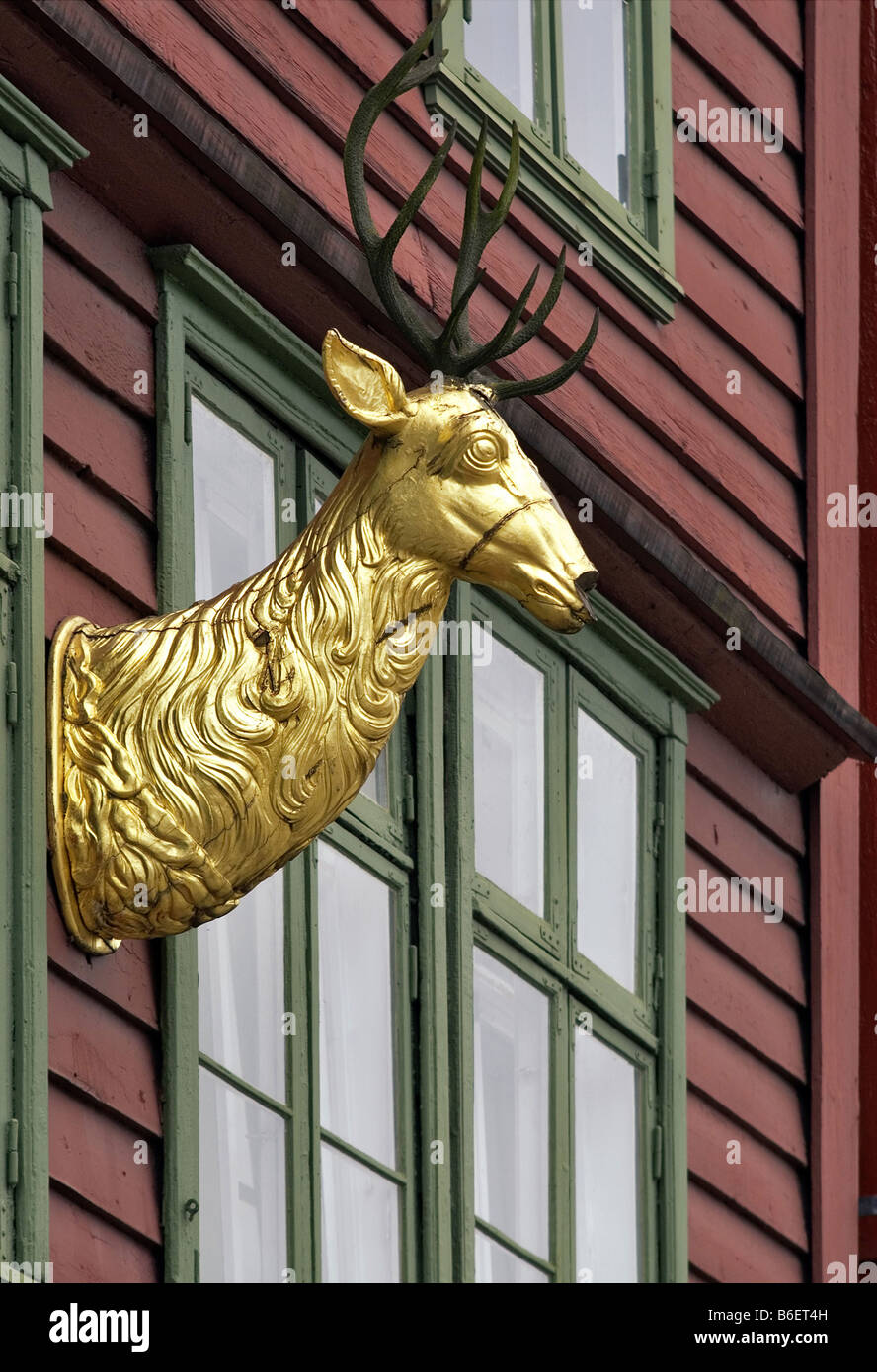 well known golden rendeer head at the old warf of Bergen the Brygge, a world heritage site, Norway, Bergen, Bryggen Stock Photo