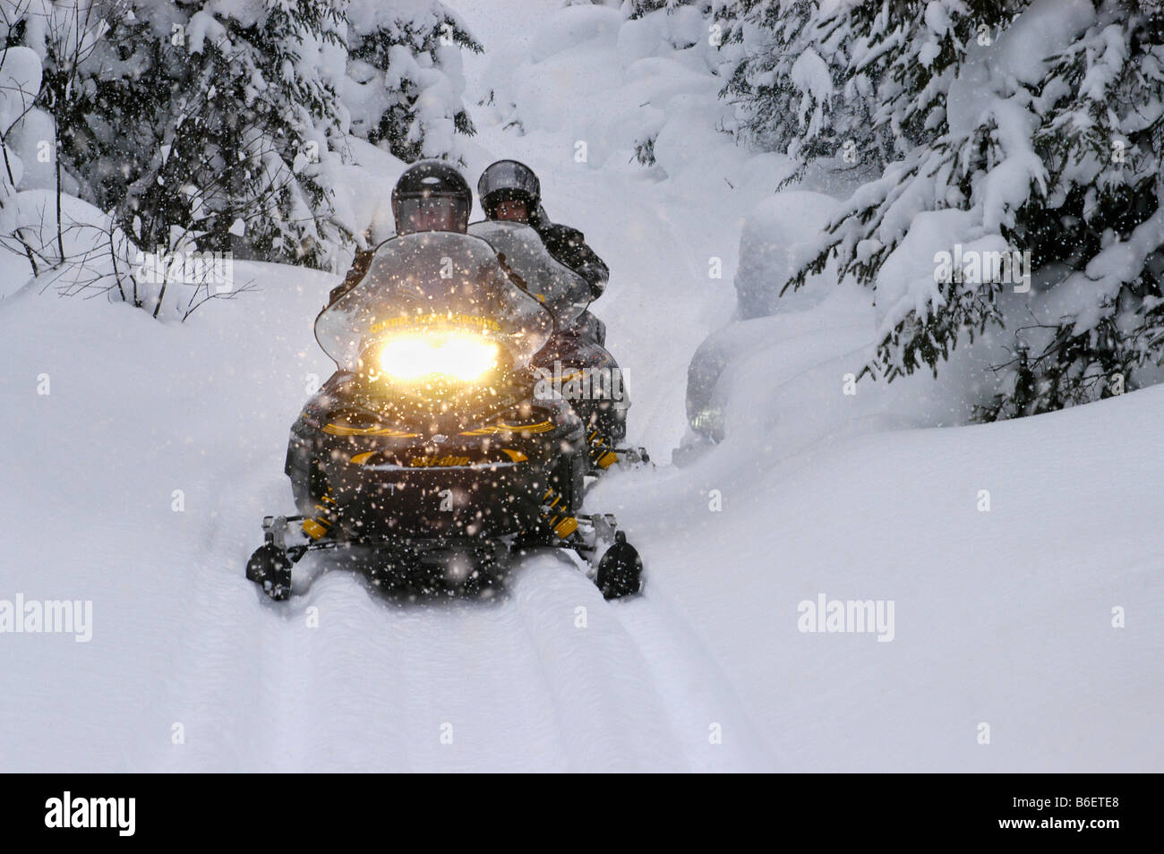 Snow mobile, snow mobile in the snow, Saguenay Lac Saint Jean Region, Mont Valin, Quebec, Canada, North America Stock Photo
